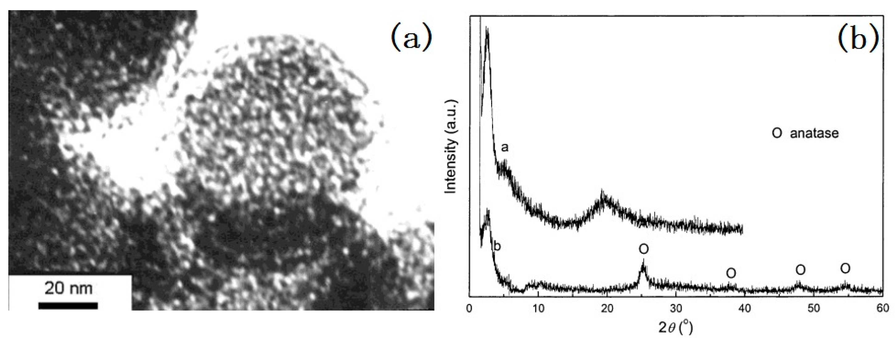 Nanomaterials 07 00310 g004