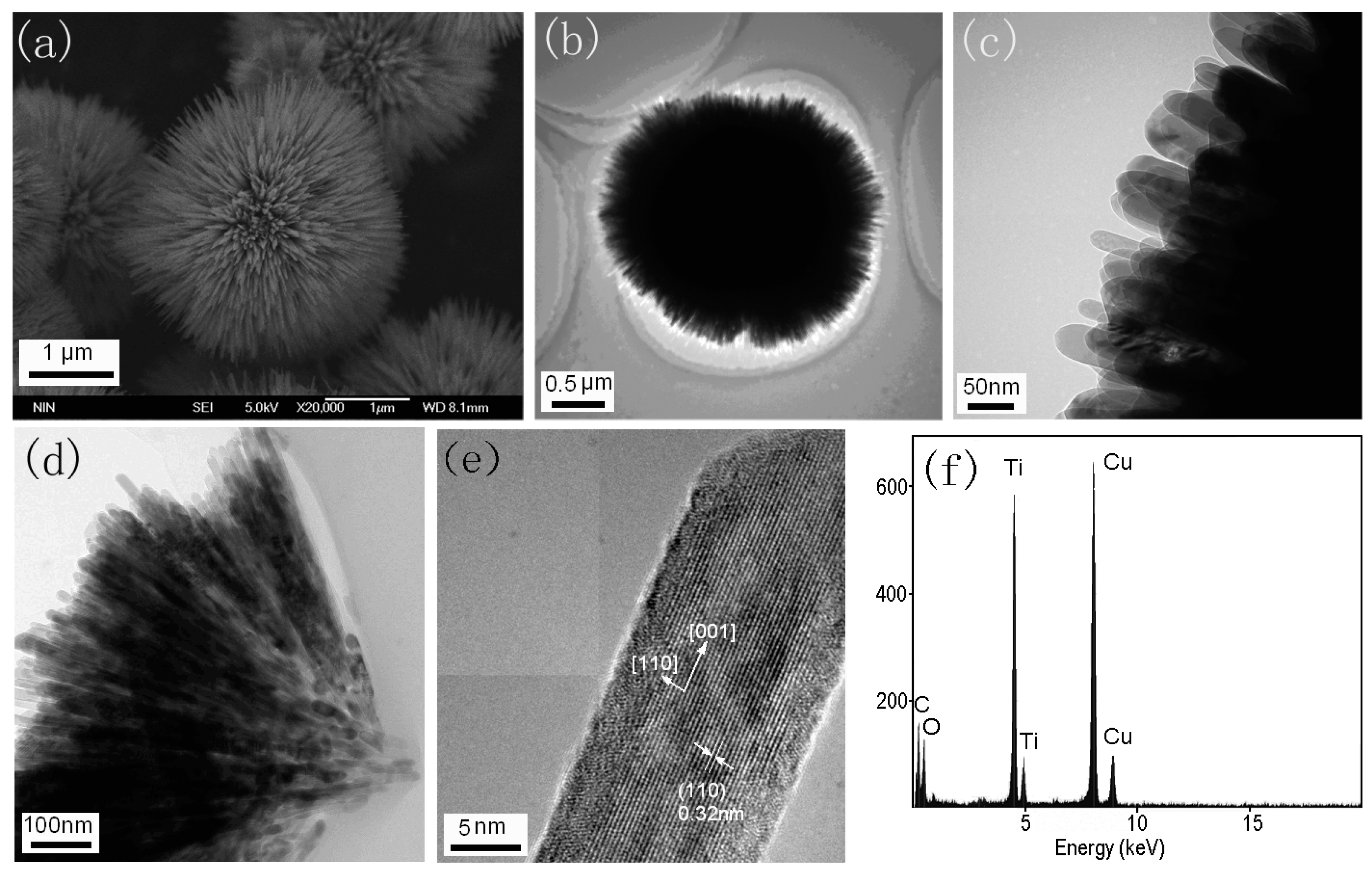 Nanomaterials 07 00310 g008