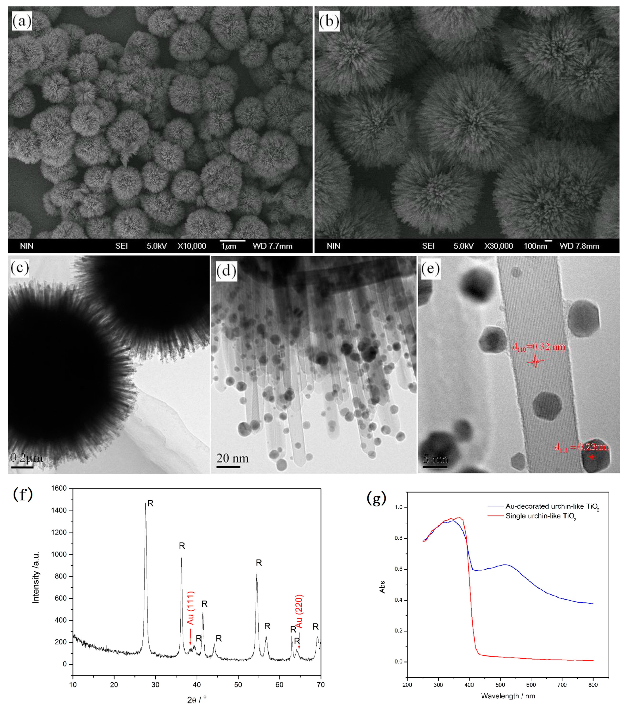 Nanomaterials 07 00310 g012