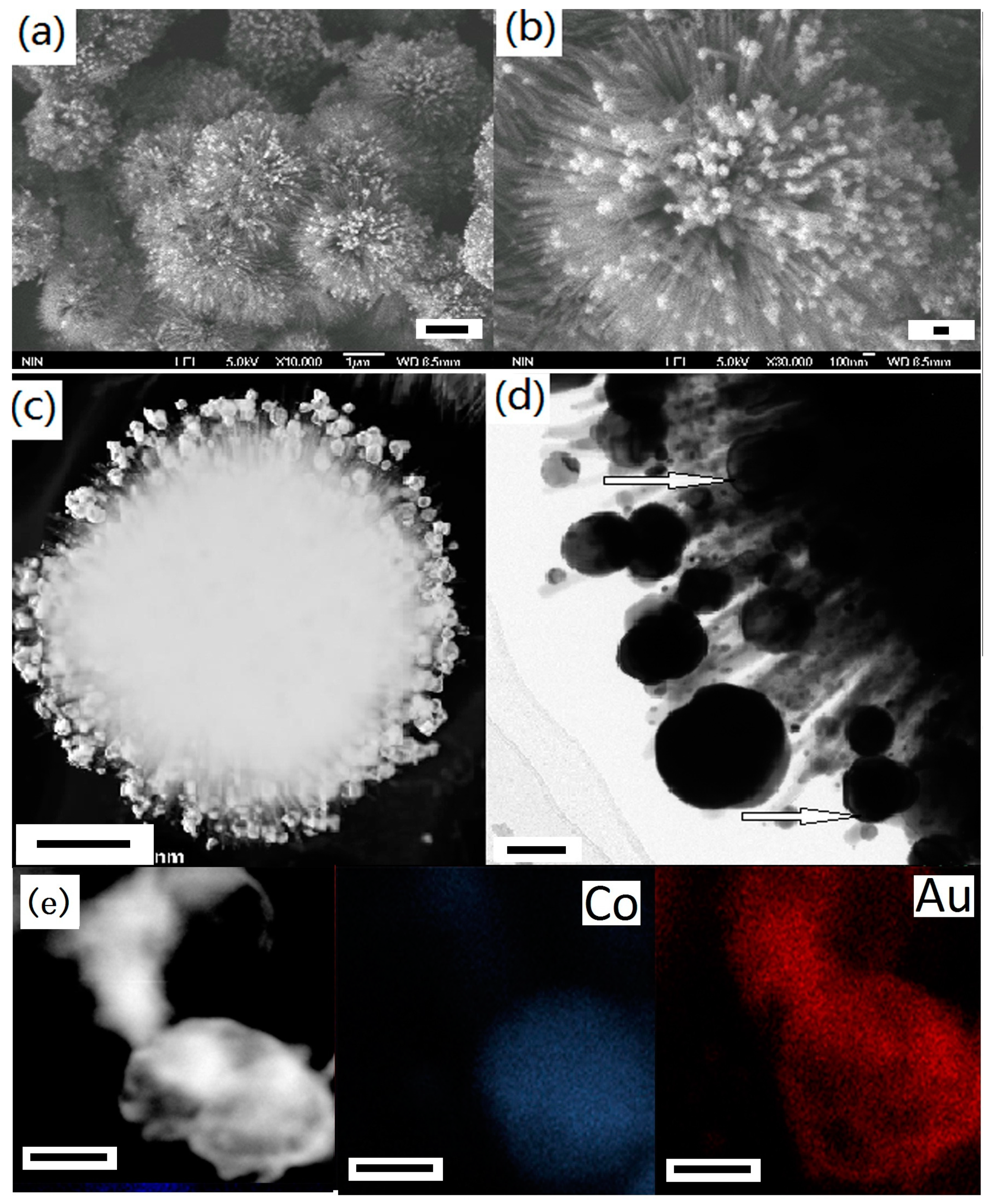 Nanomaterials 07 00310 g015
