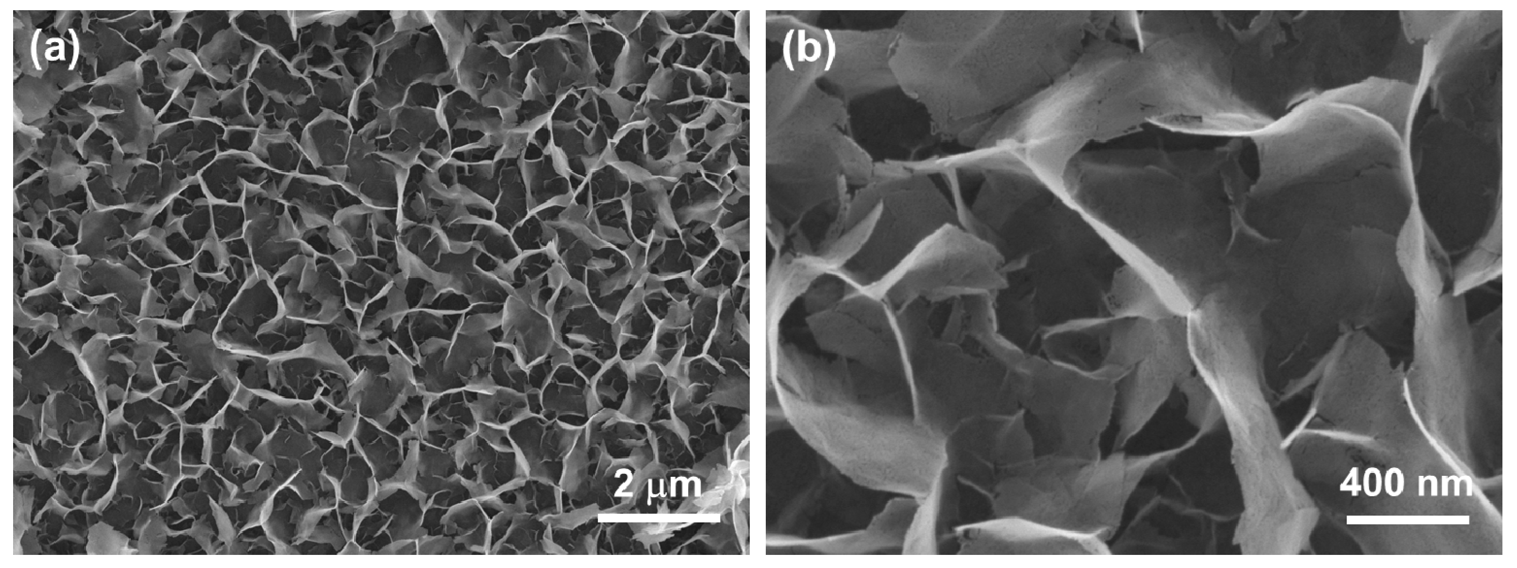 Nanomaterials 07 00313 g002