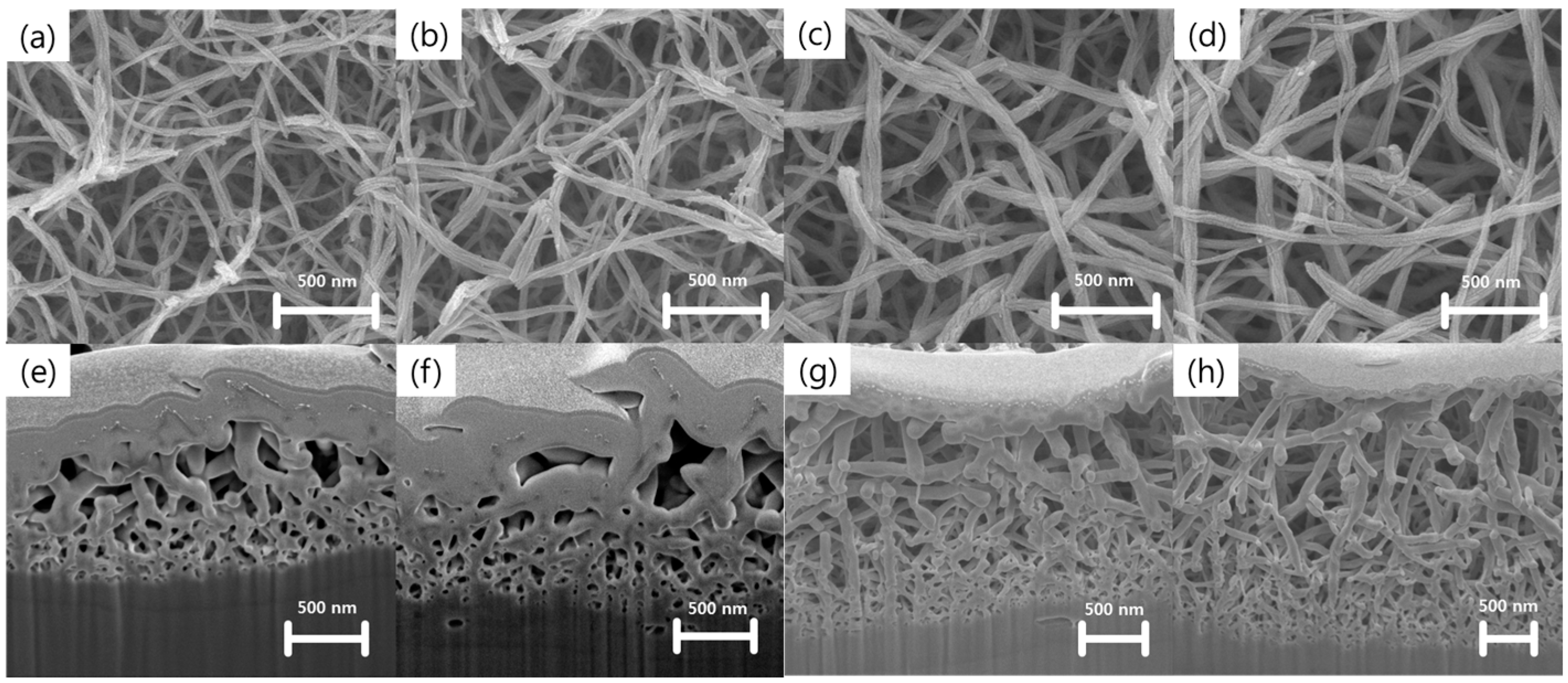 Nanomaterials 07 00315 g002