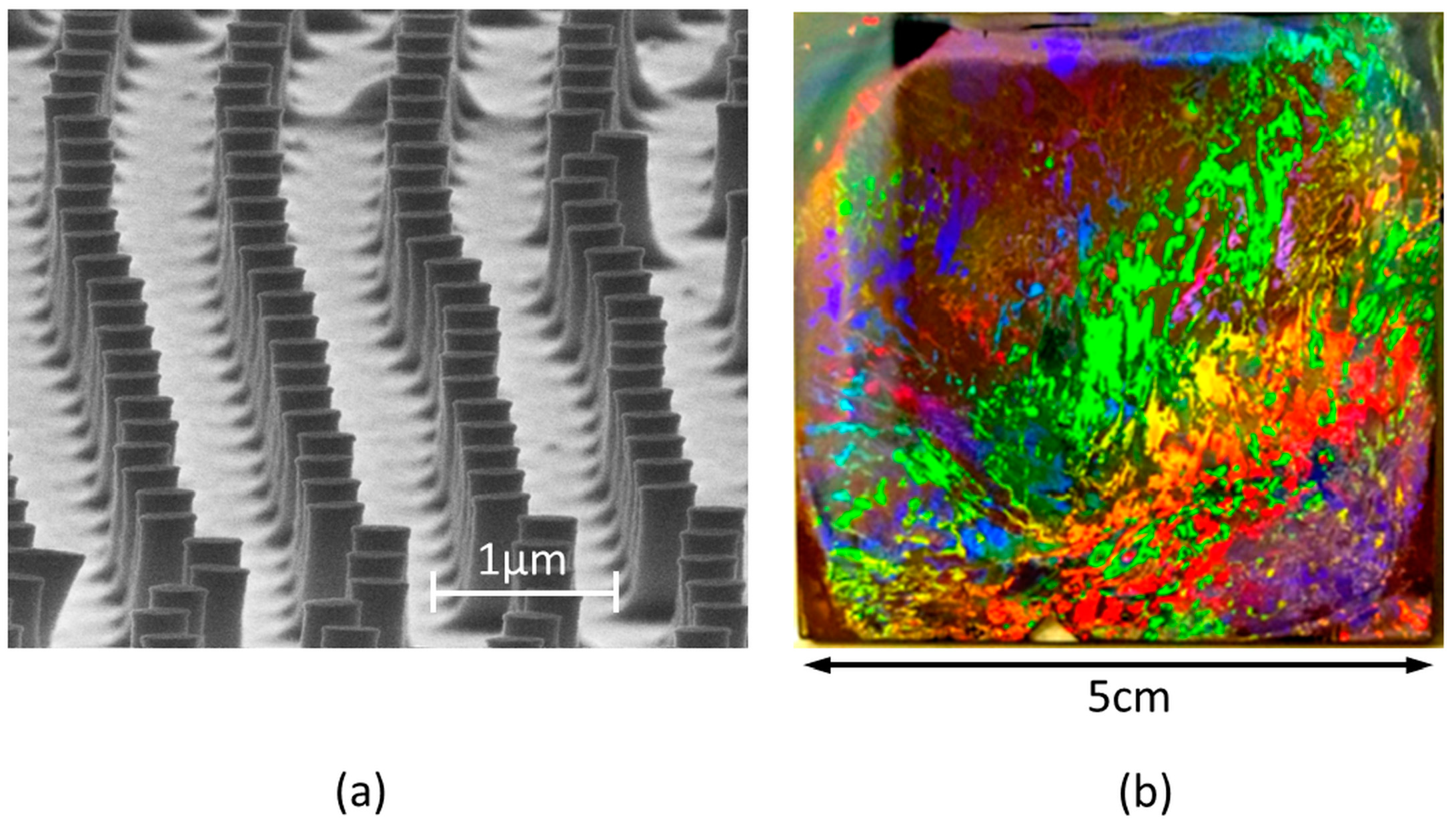 Nanomaterials 07 00316 g005