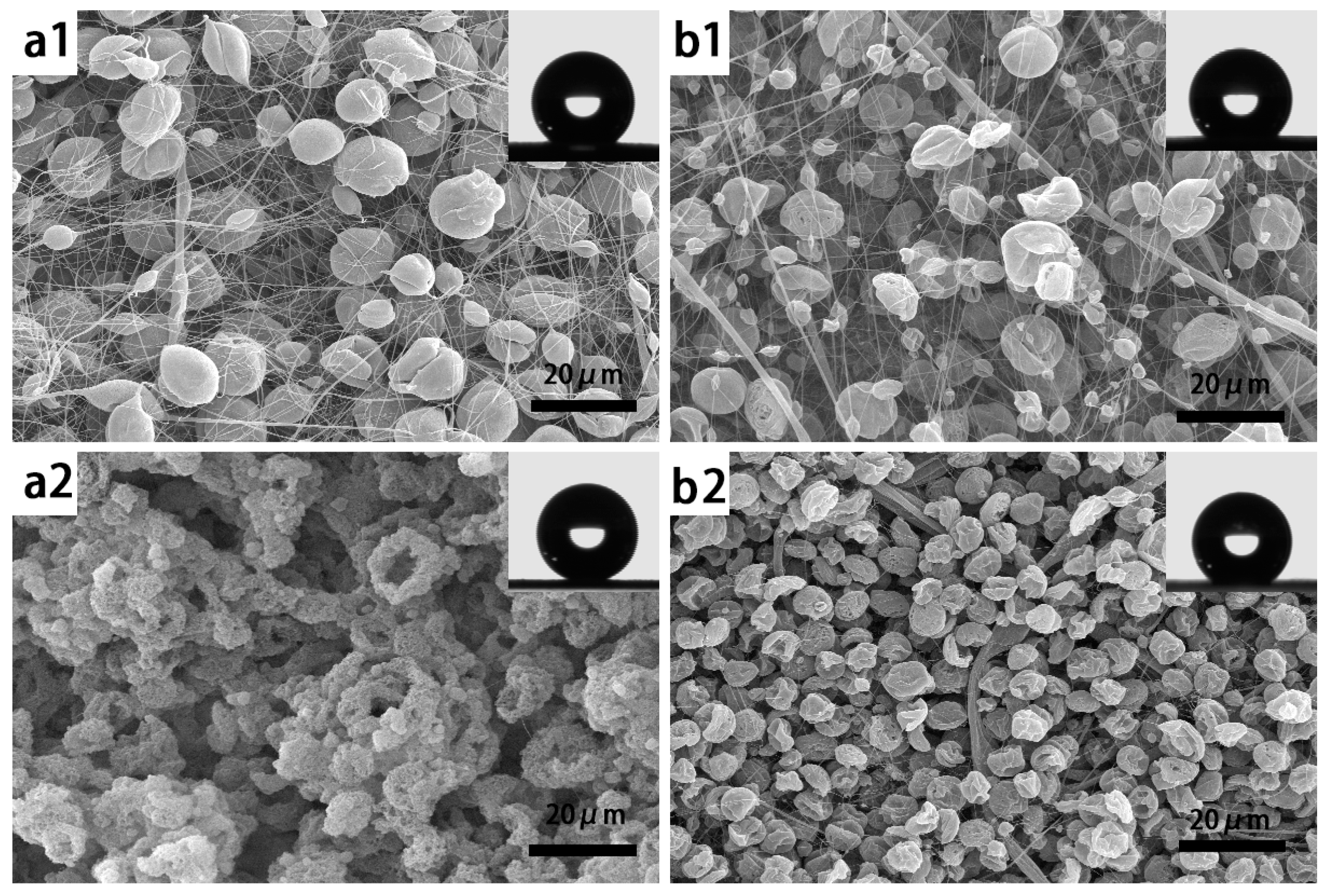 Nanomaterials 07 00319 g005a