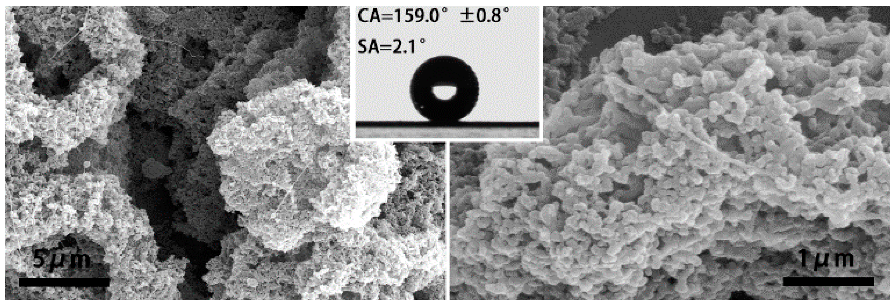 Nanomaterials 07 00319 g006