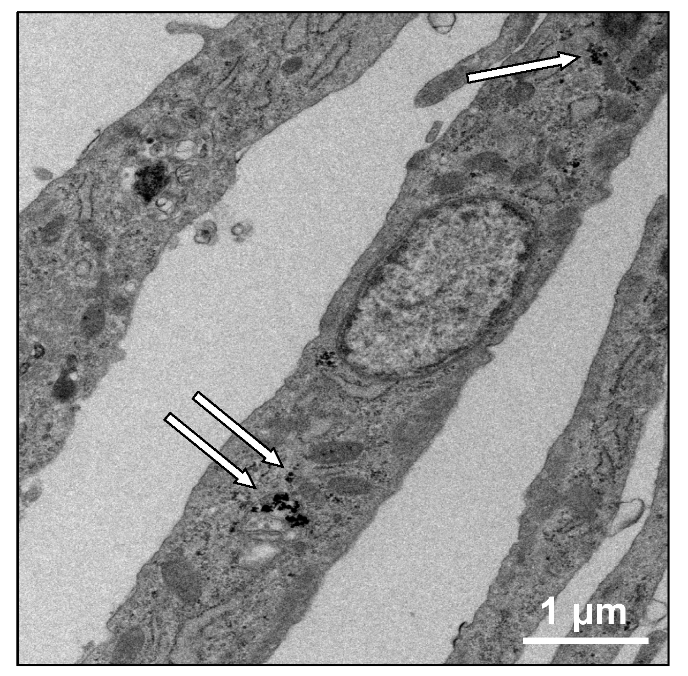 Nanomaterials 07 00322 g001 Nanomaterials 07 00322 g001