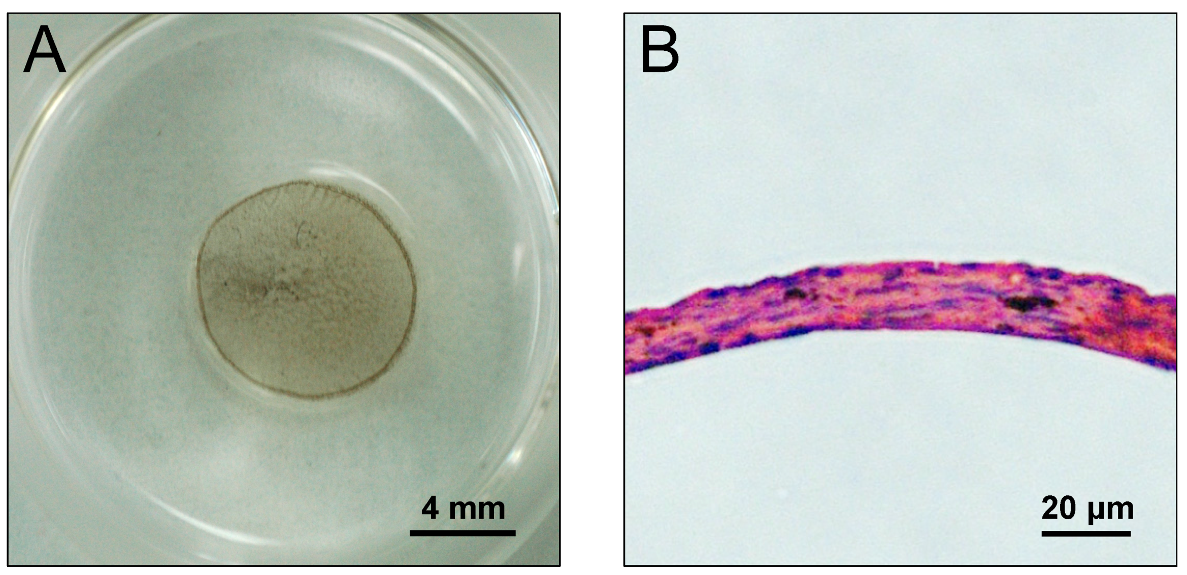 Nanomaterials 07 00322 g005 Nanomaterials 07 00322 g005