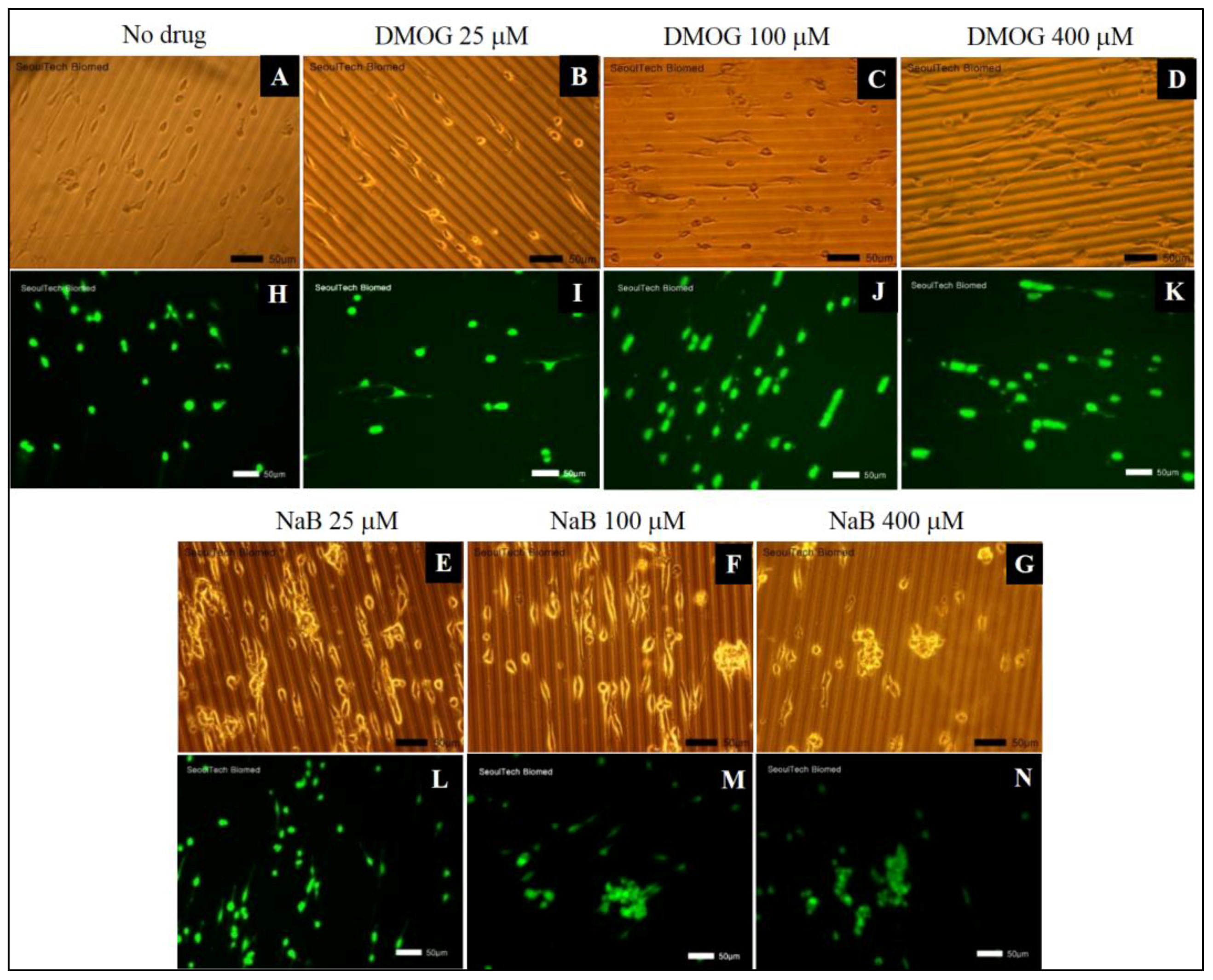 Nanomaterials 07 00328 g007