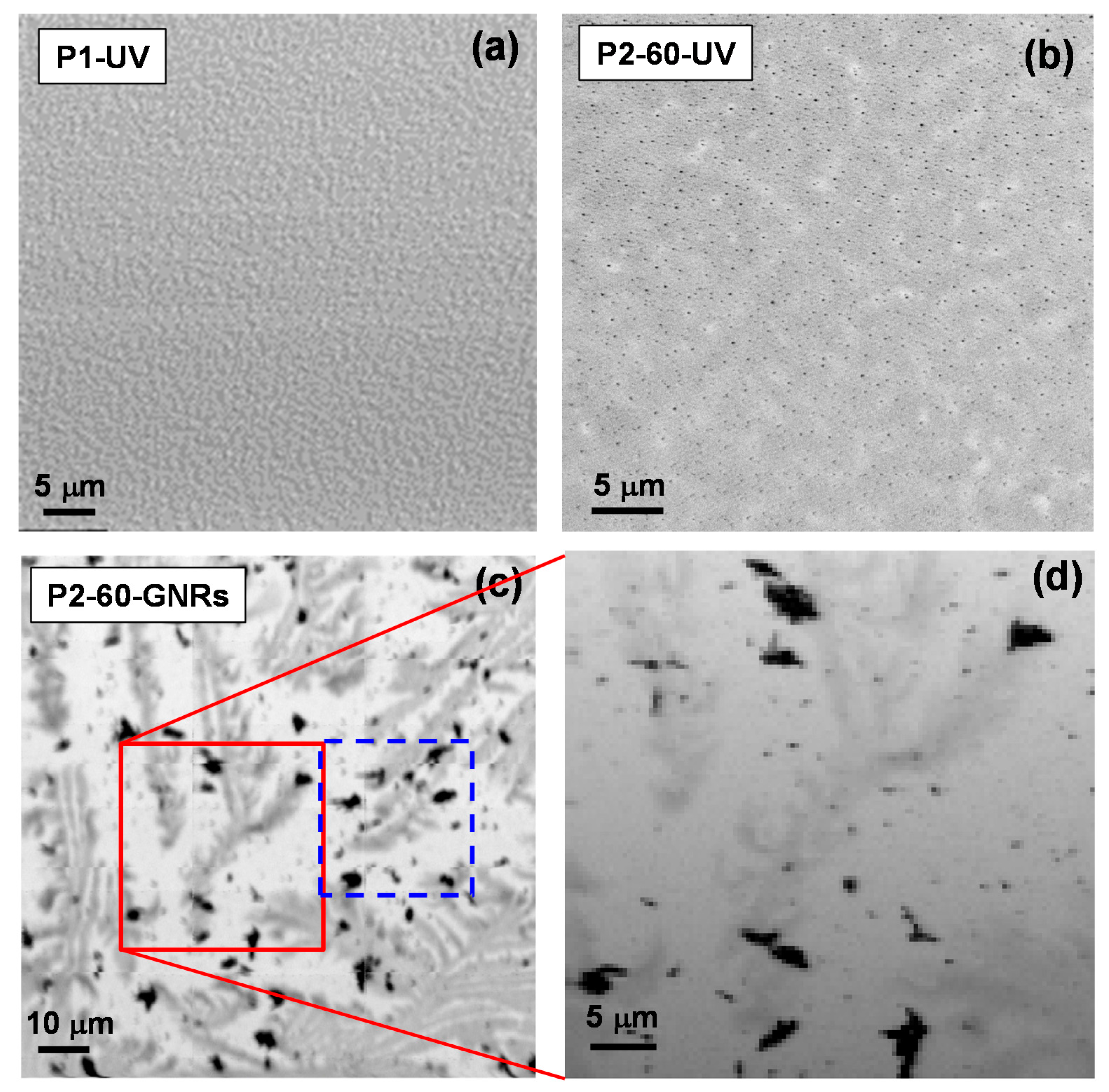 Nanomaterials 07 00331 g001