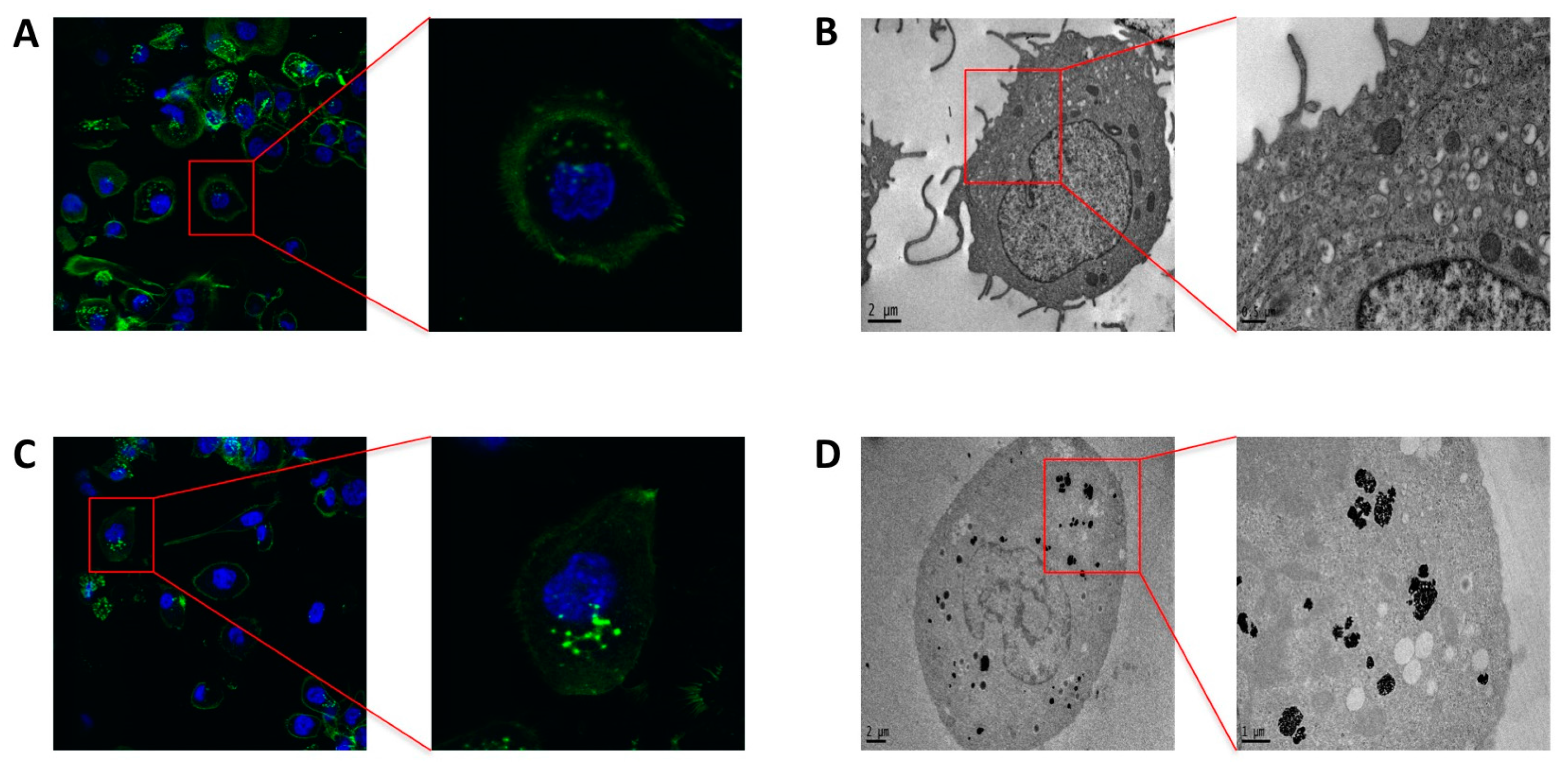 Nanomaterials 07 00332 g002