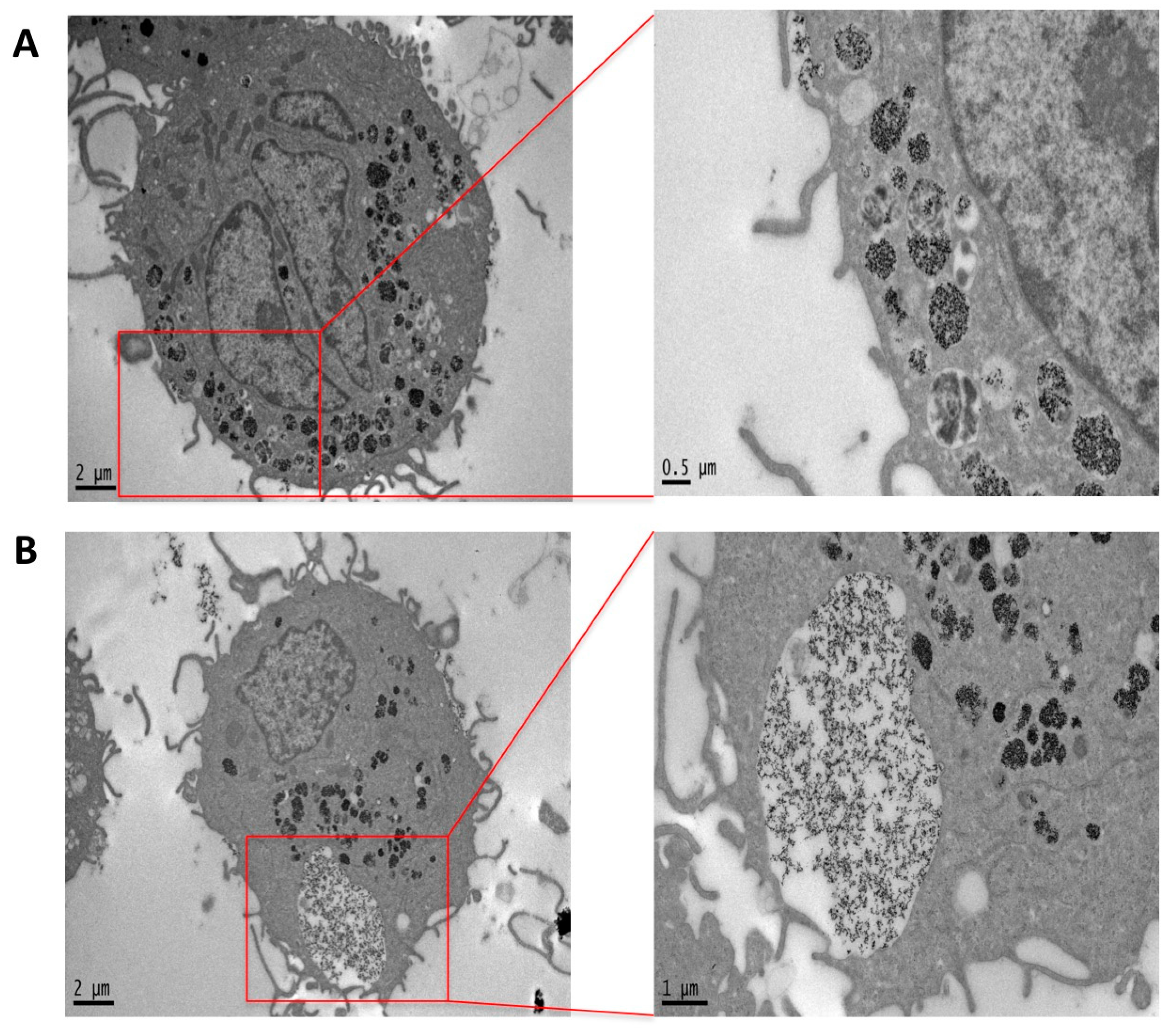 Nanomaterials 07 00332 g004