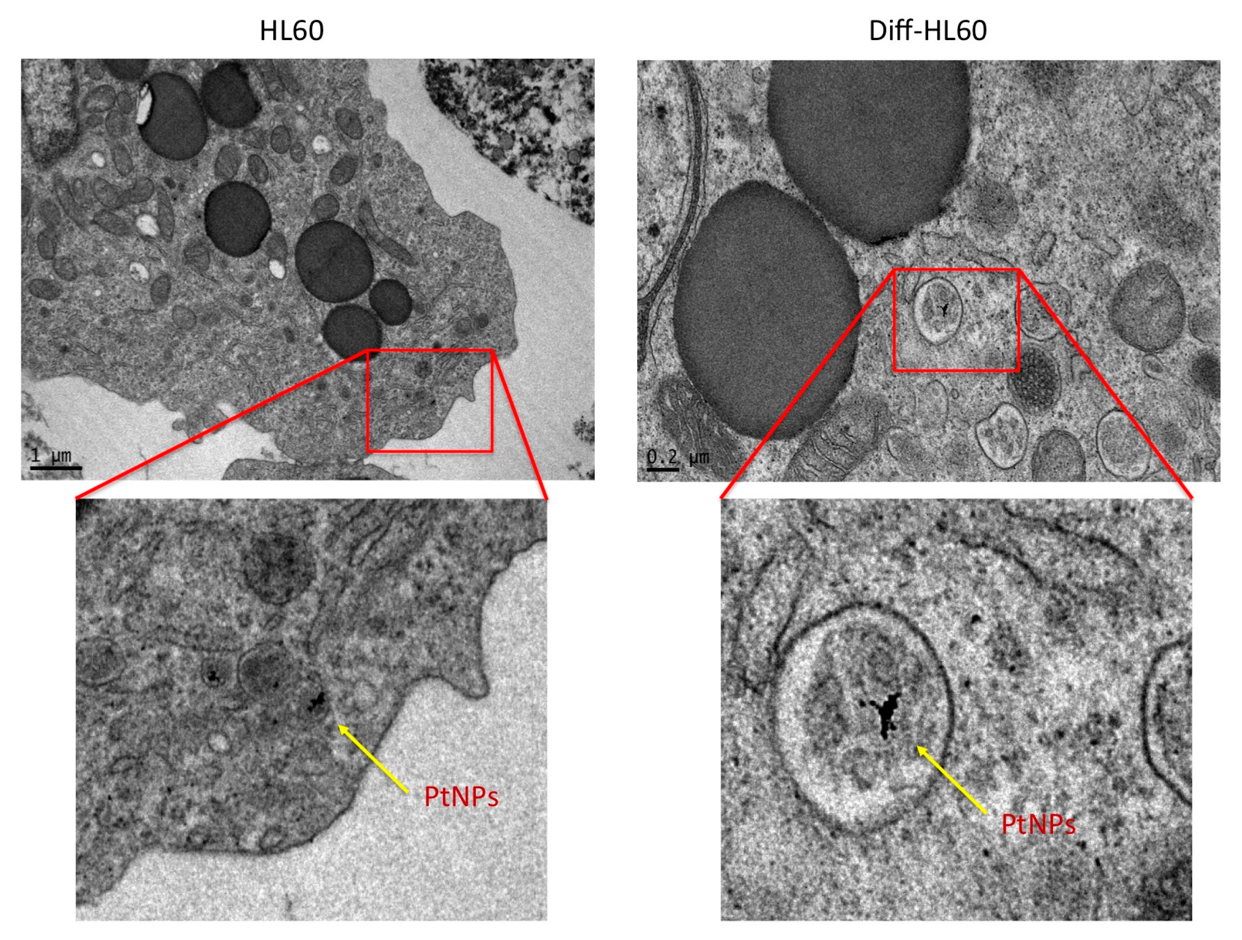 Nanomaterials 07 00332 g007