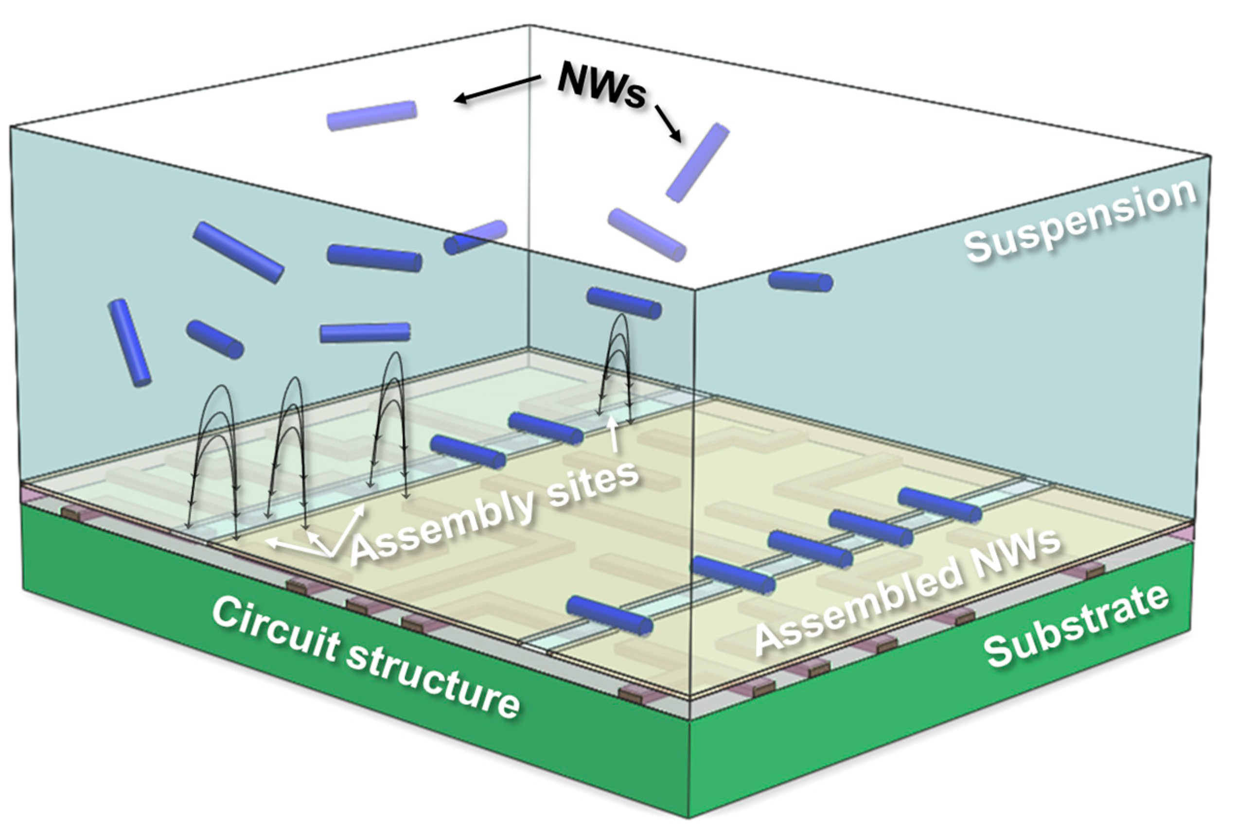 Nanomaterials 07 00335 g001