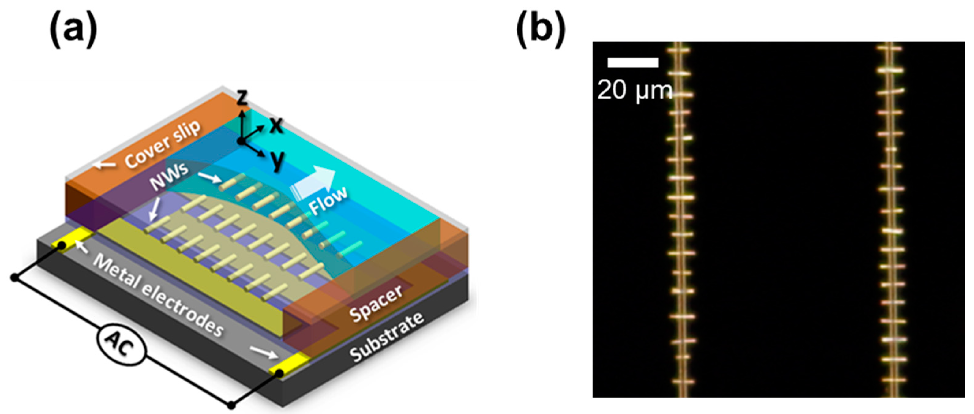 Nanomaterials 07 00335 g002