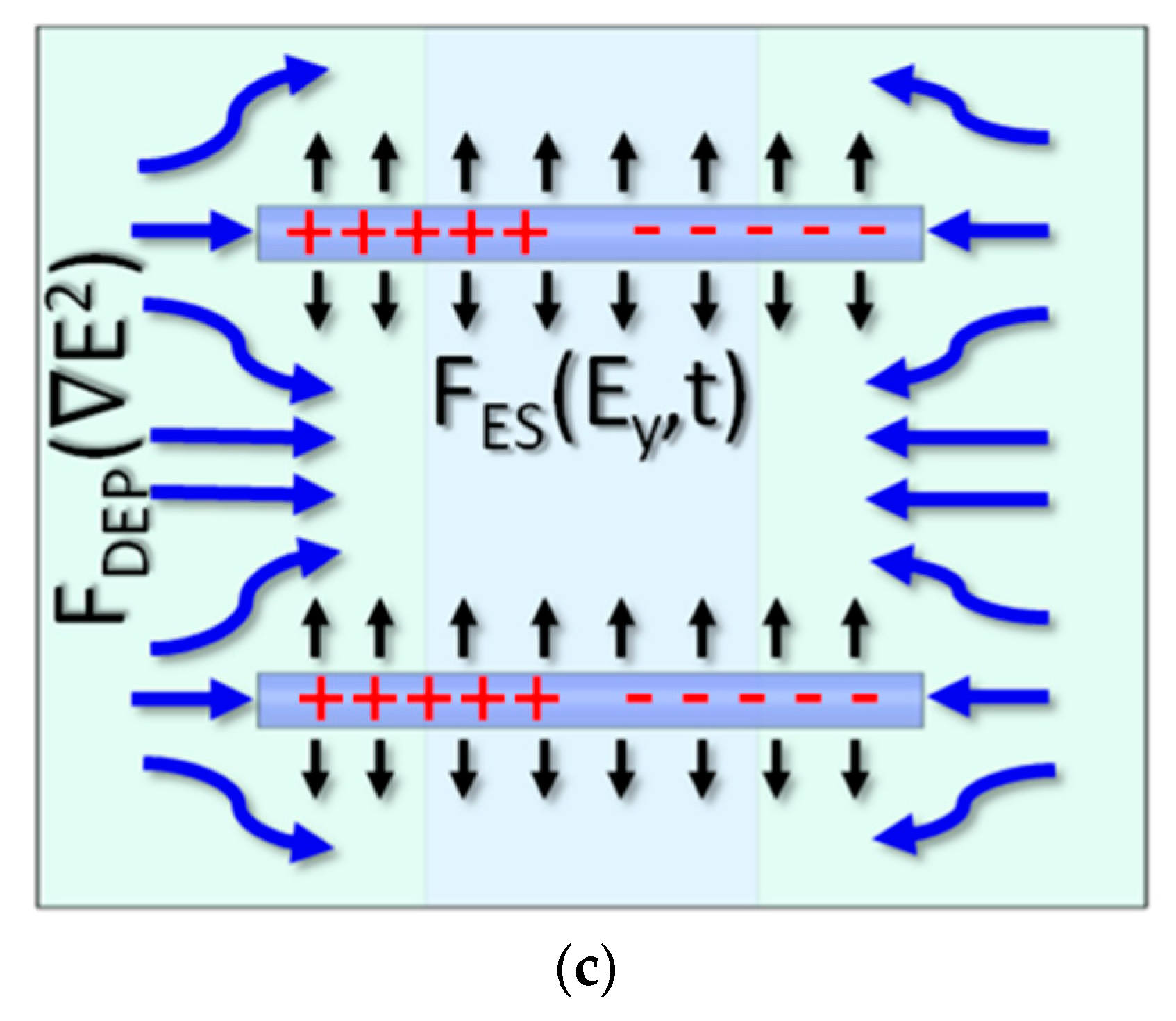 Nanomaterials 07 00335 g003b