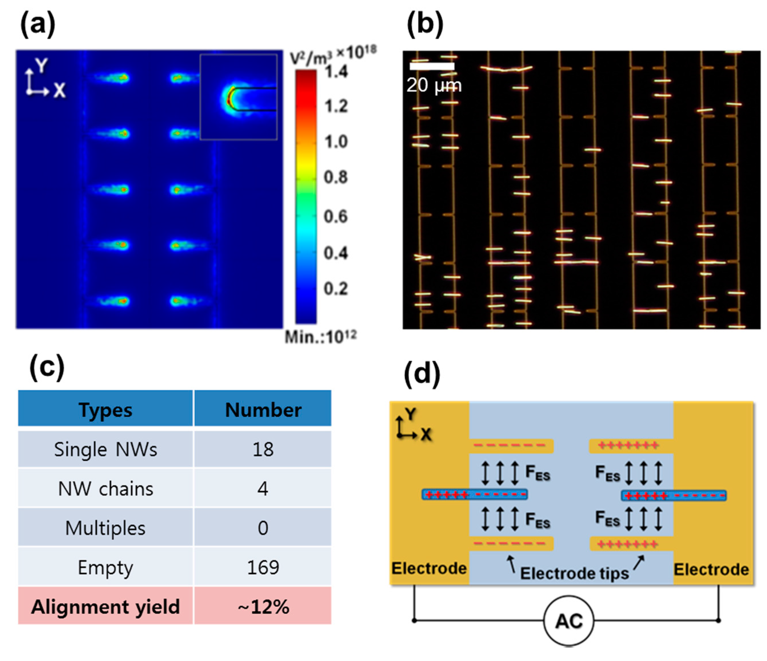 Nanomaterials 07 00335 g004