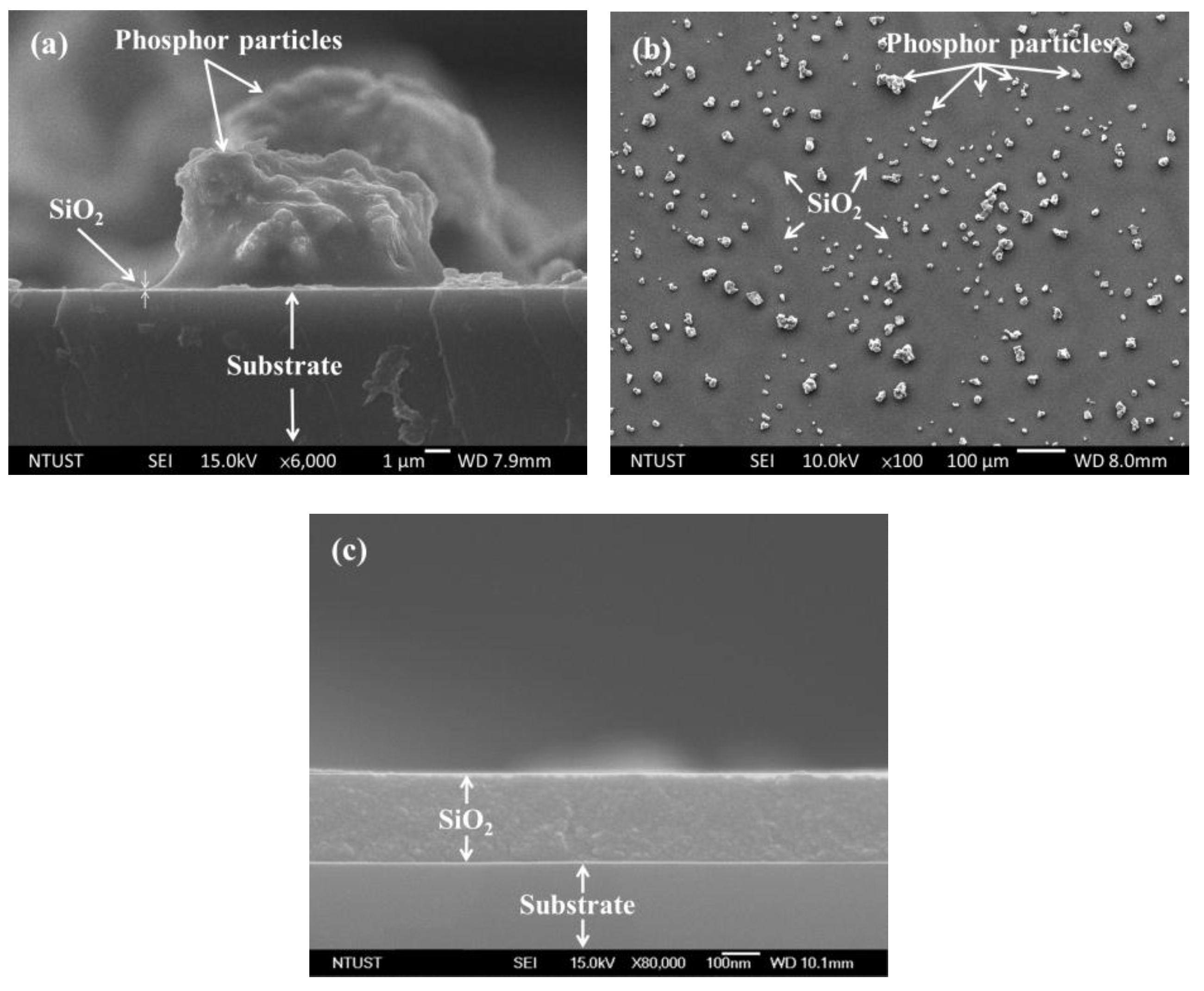 Nanomaterials 07 00340 g002