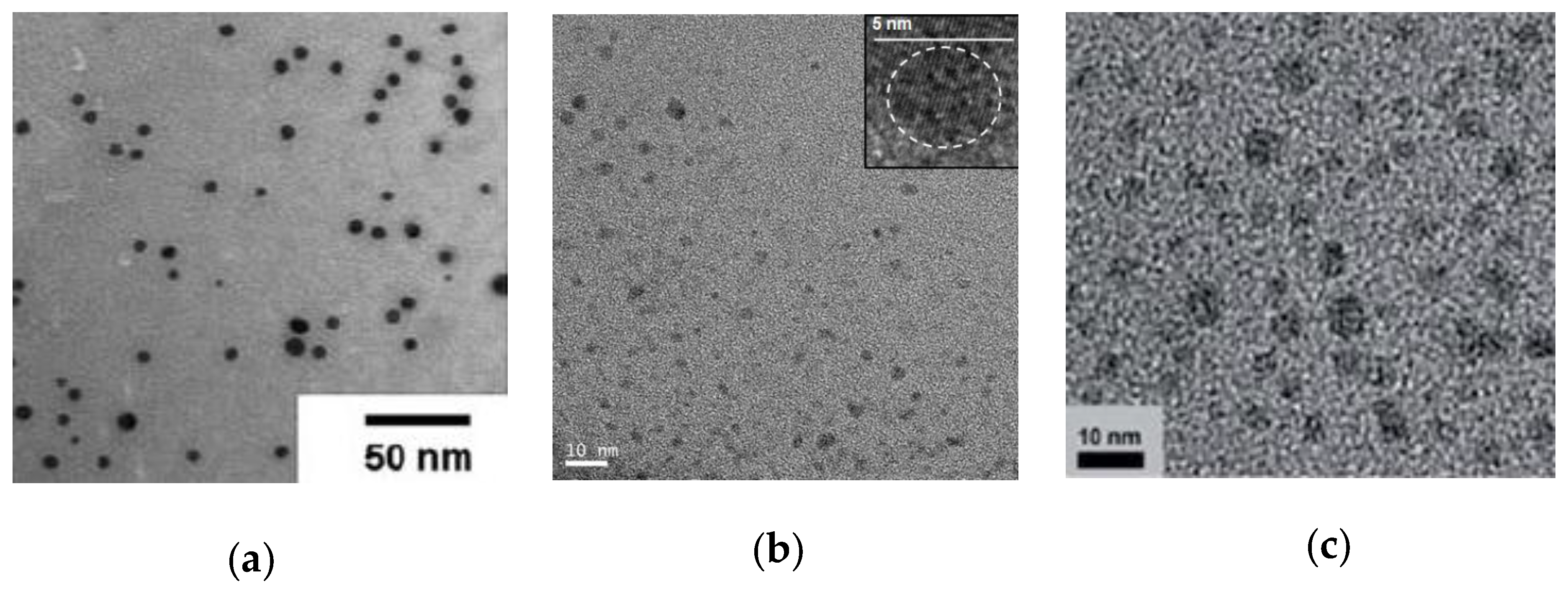 Nanomaterials 07 00341 g006