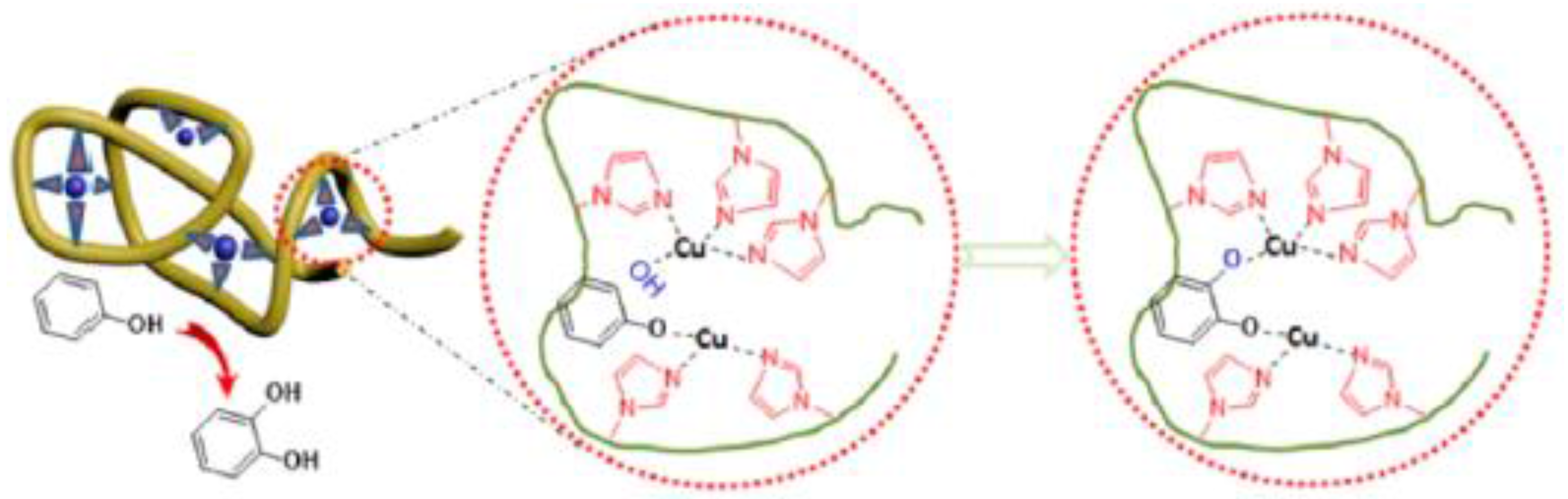 Nanomaterials 07 00341 g013