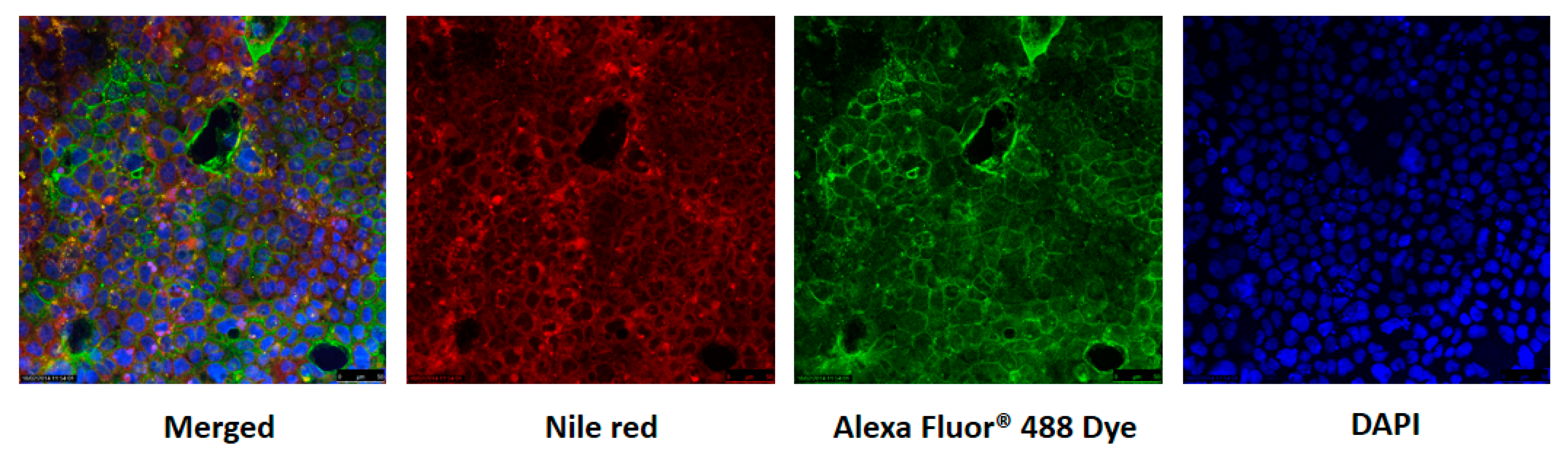 Nanomaterials 07 00349 g005