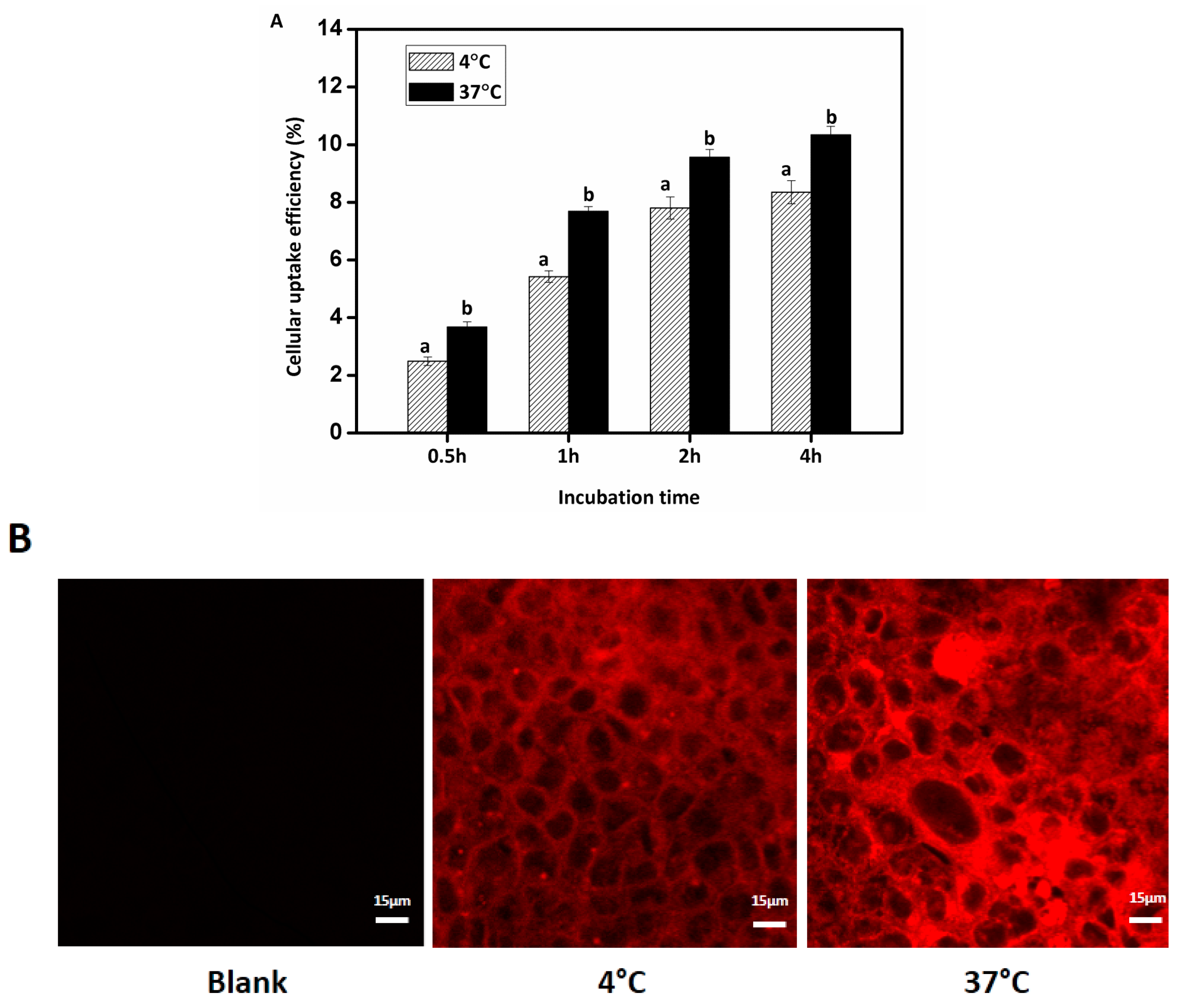 Nanomaterials 07 00349 g008