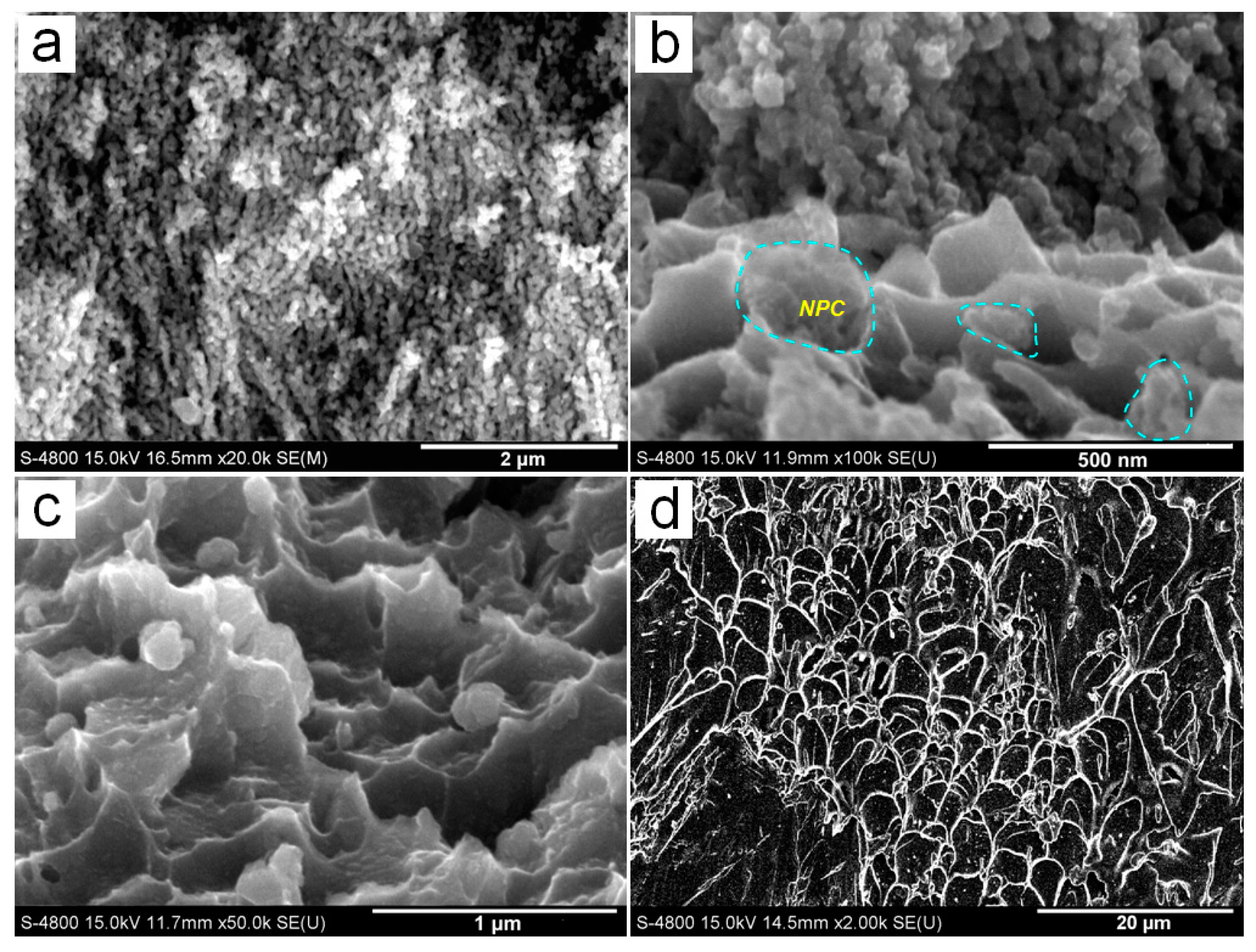 Nanomaterials 07 00352 g008
