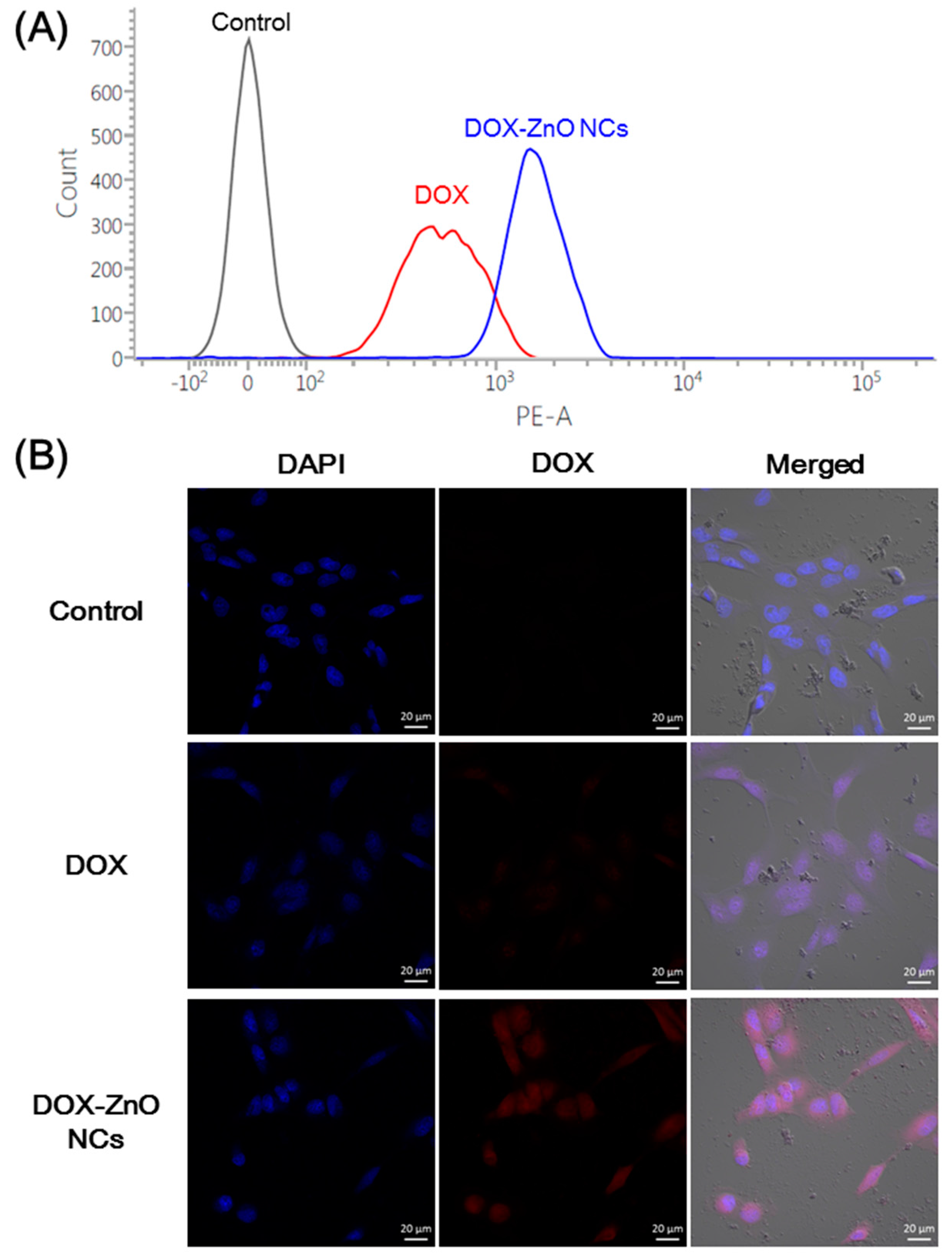 Nanomaterials 07 00354 g006