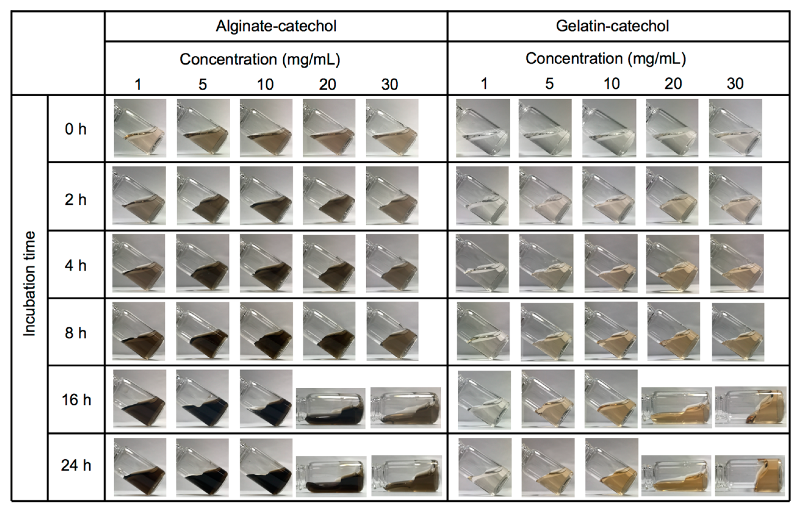 Nanomaterials 07 00364 g002