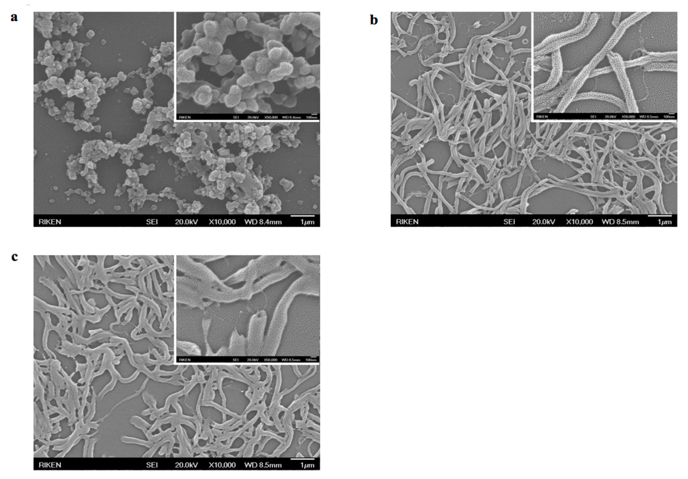 Nanomaterials 07 00364 g005