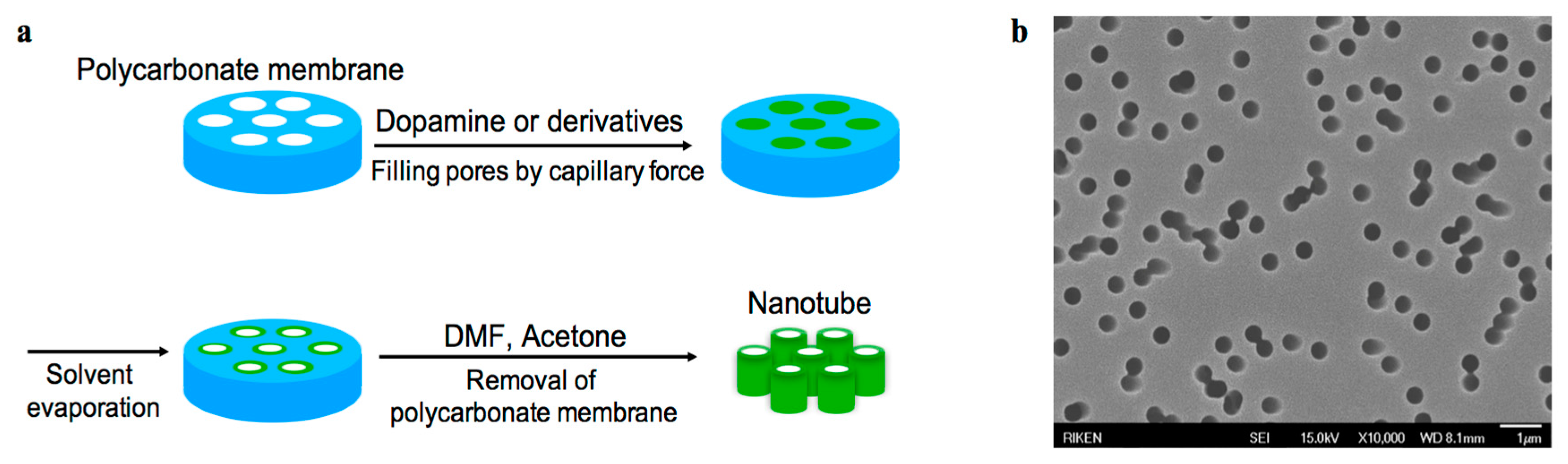 Nanomaterials 07 00364 sch003
