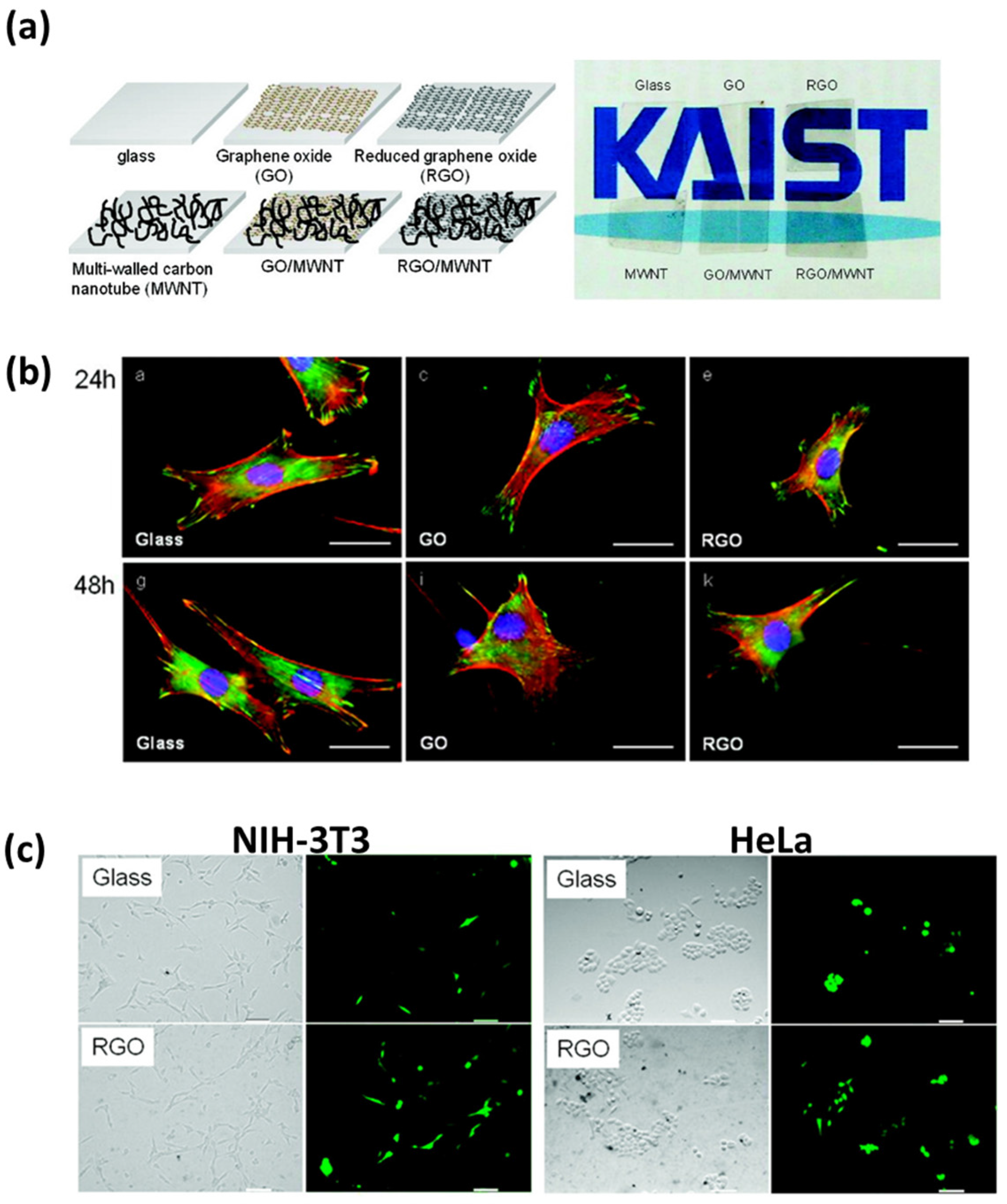 Nanomaterials 07 00369 g001