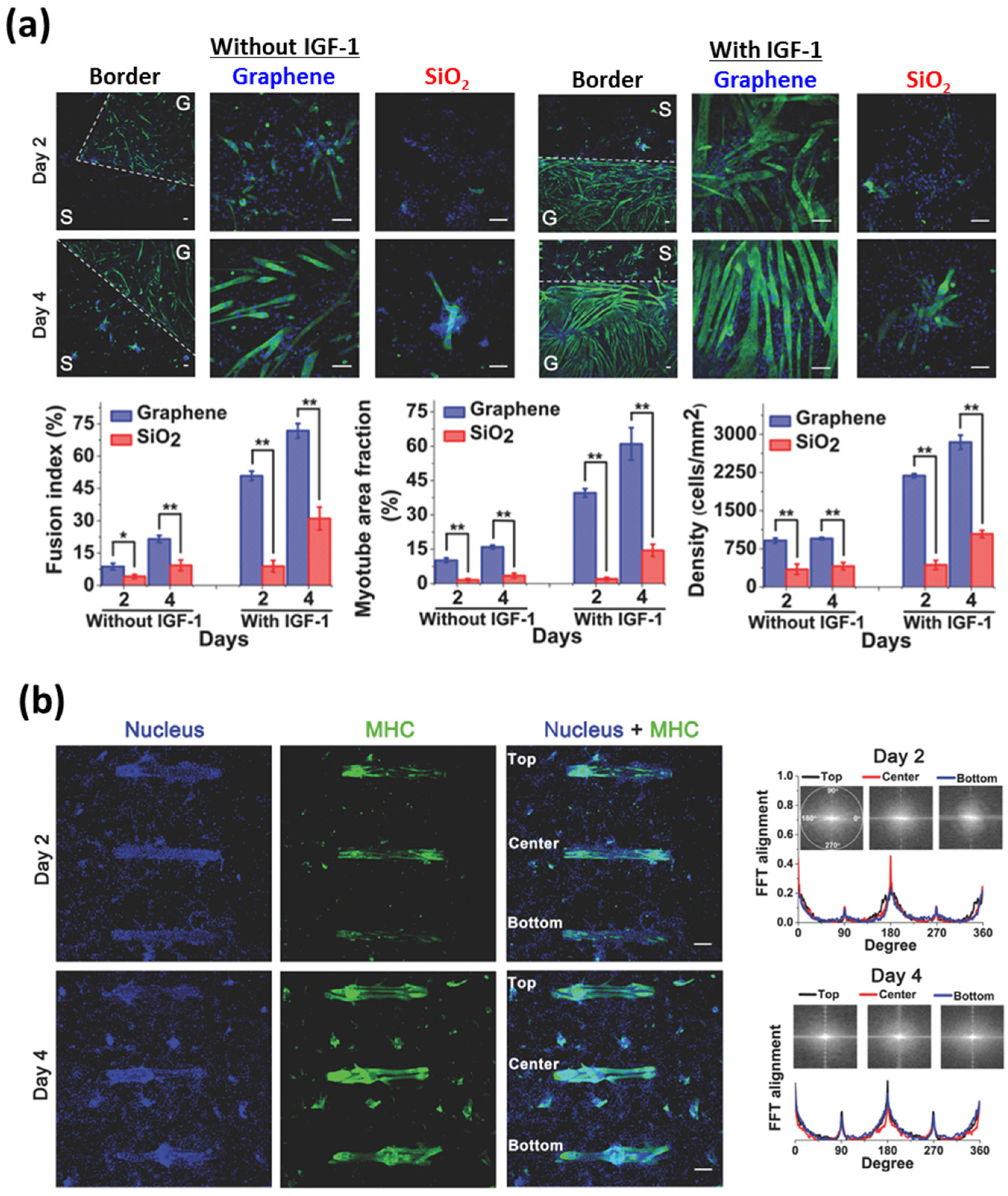 Nanomaterials 07 00369 g005