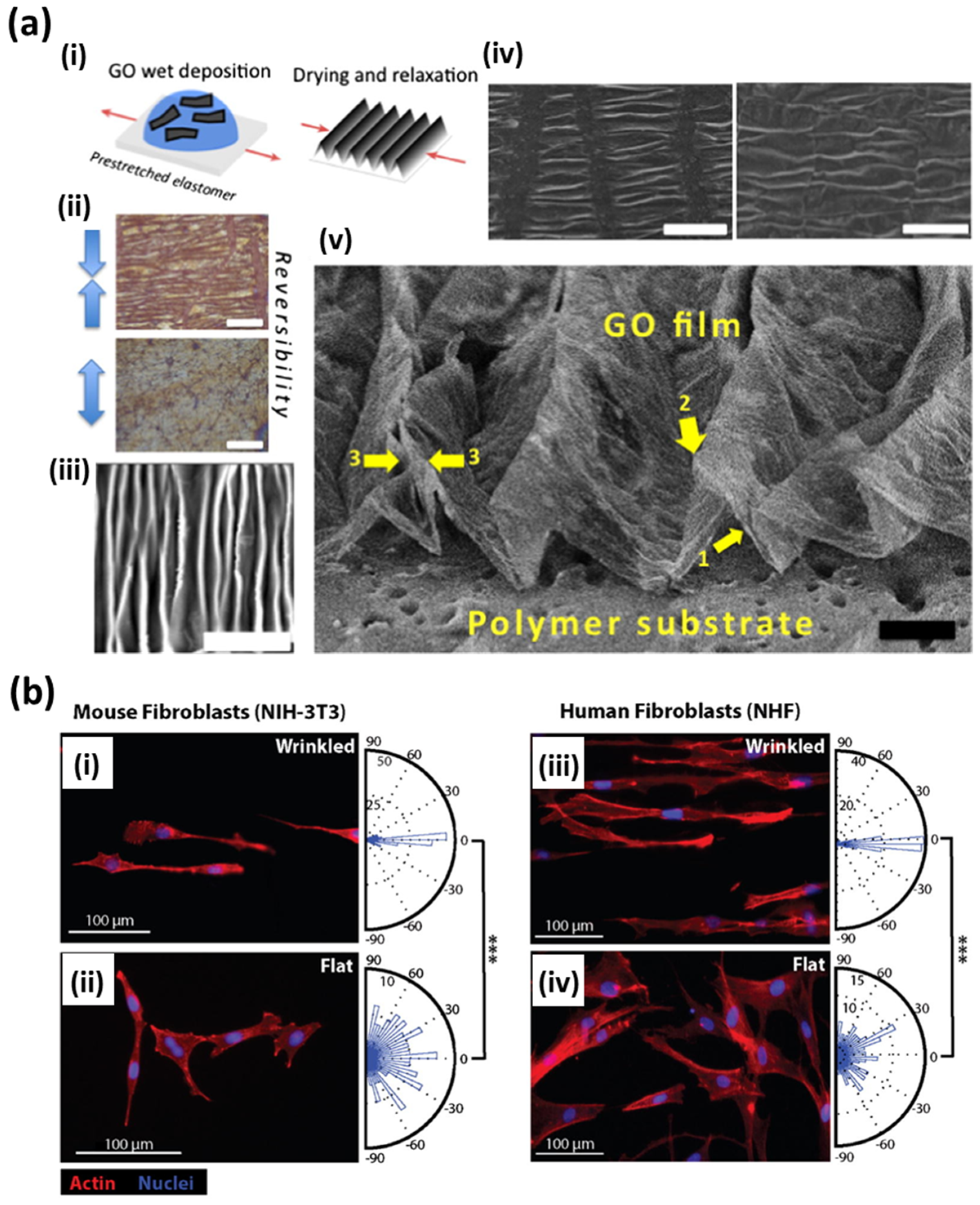 Nanomaterials 07 00369 g007