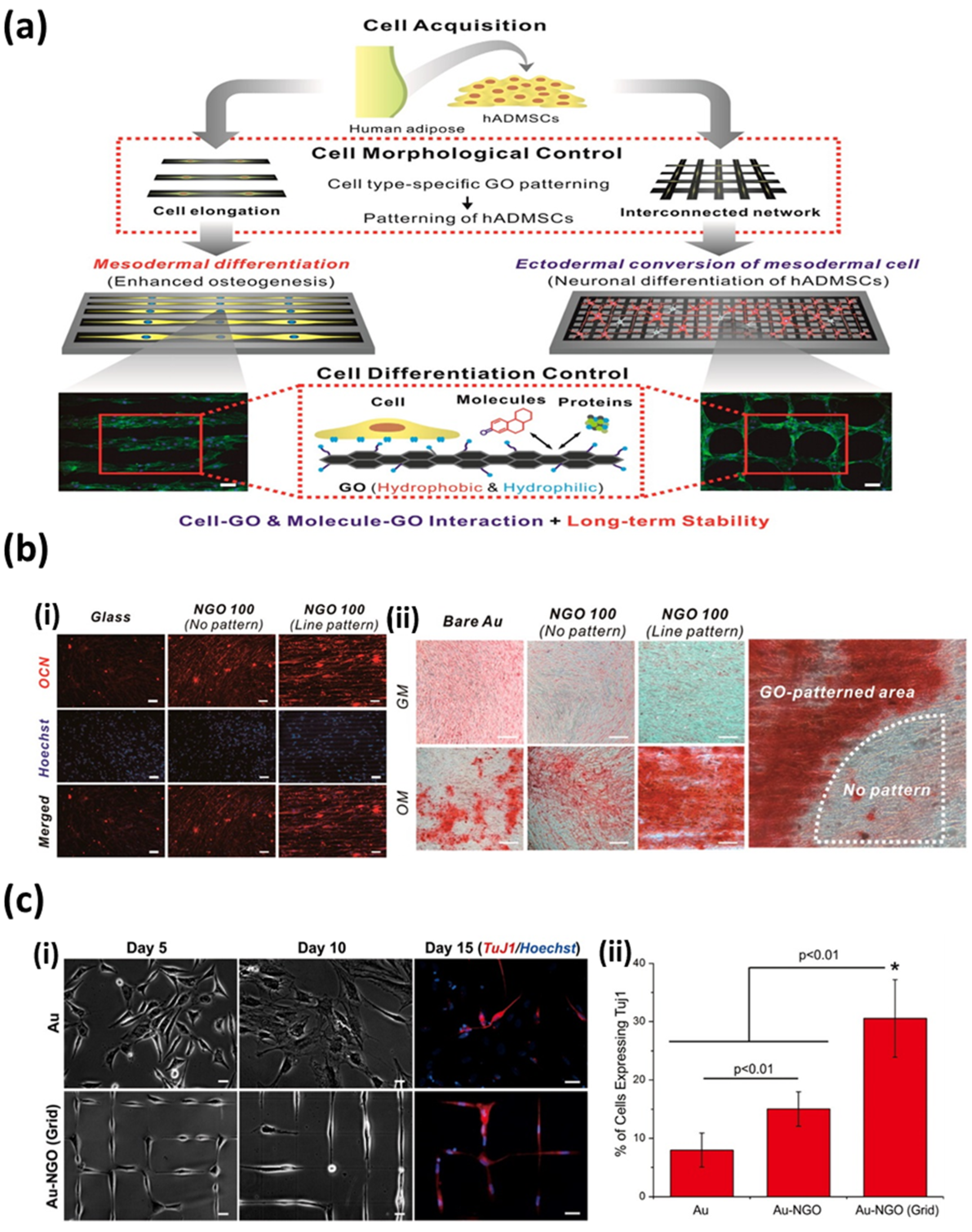 Nanomaterials 07 00369 g008