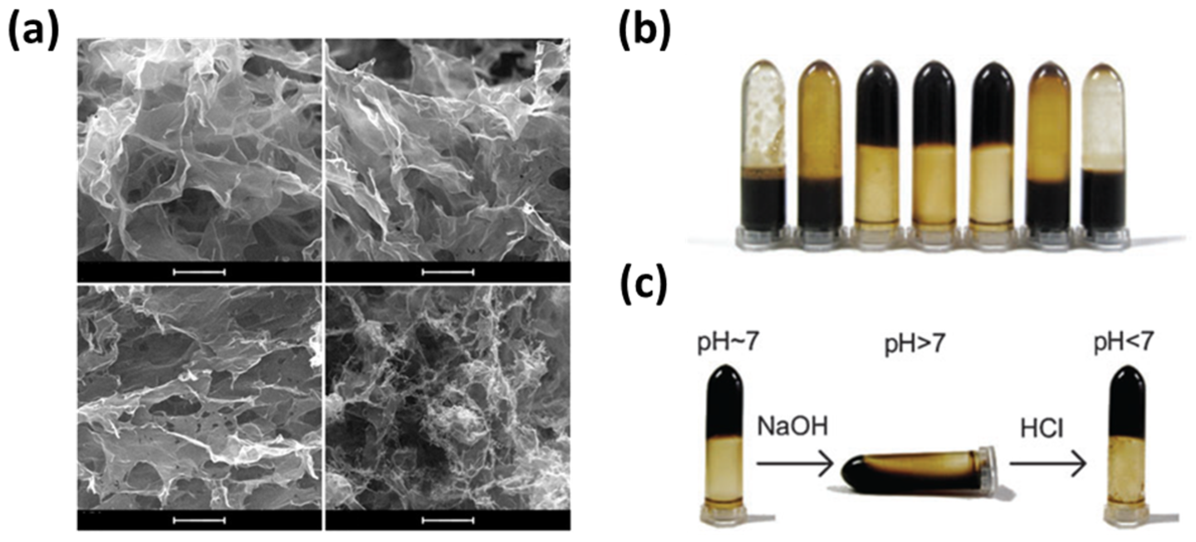 Nanomaterials 07 00369 g009