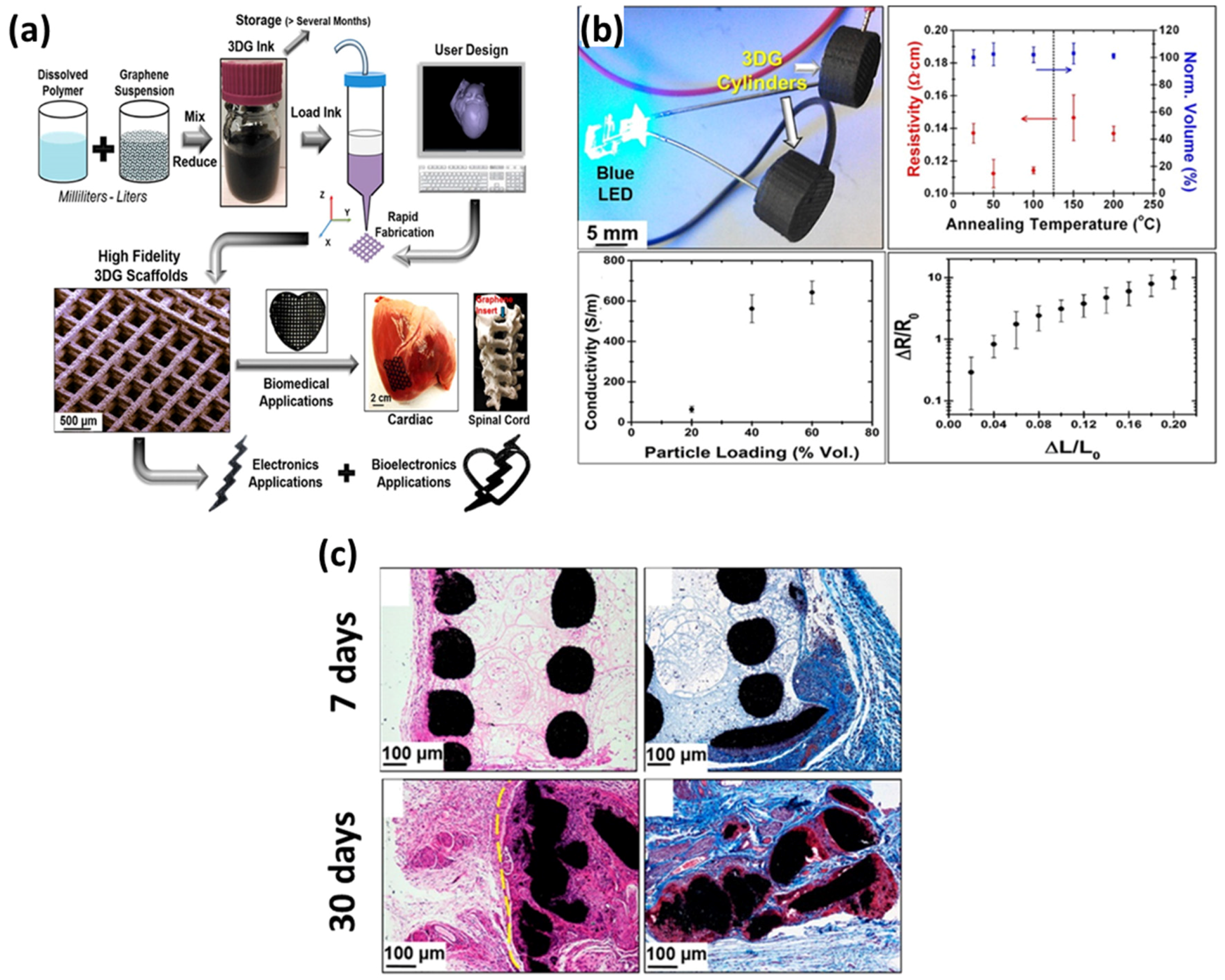 Nanomaterials 07 00369 g011