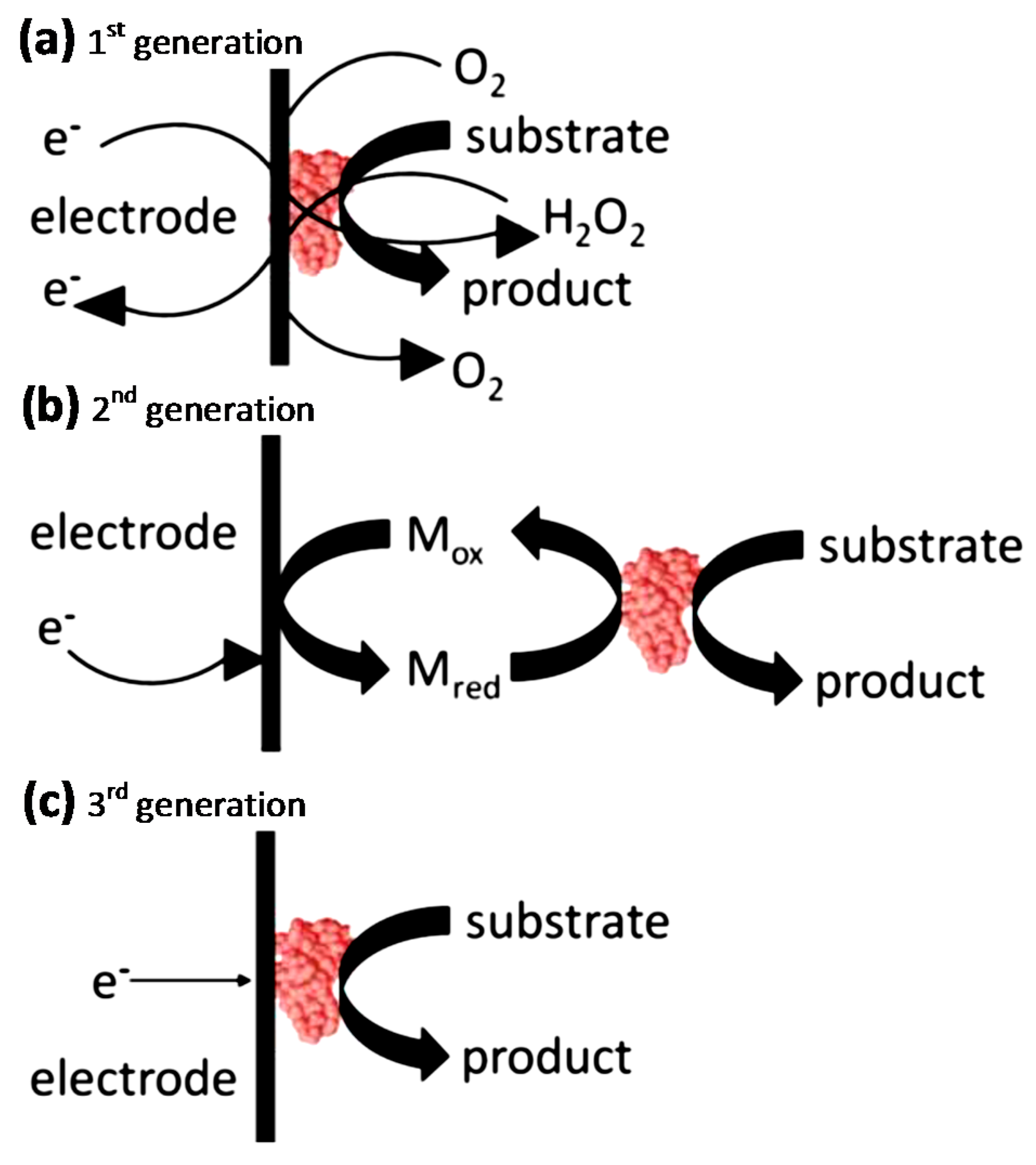 Nanomaterials 07 00381 g005