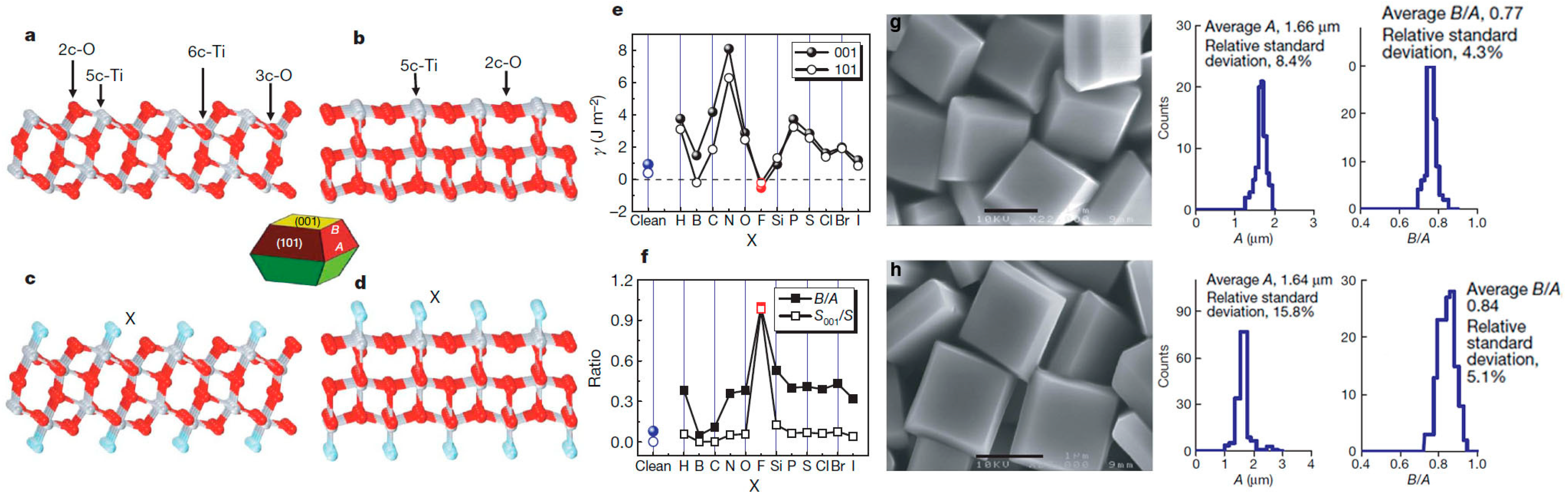 Nanomaterials 07 00382 g004