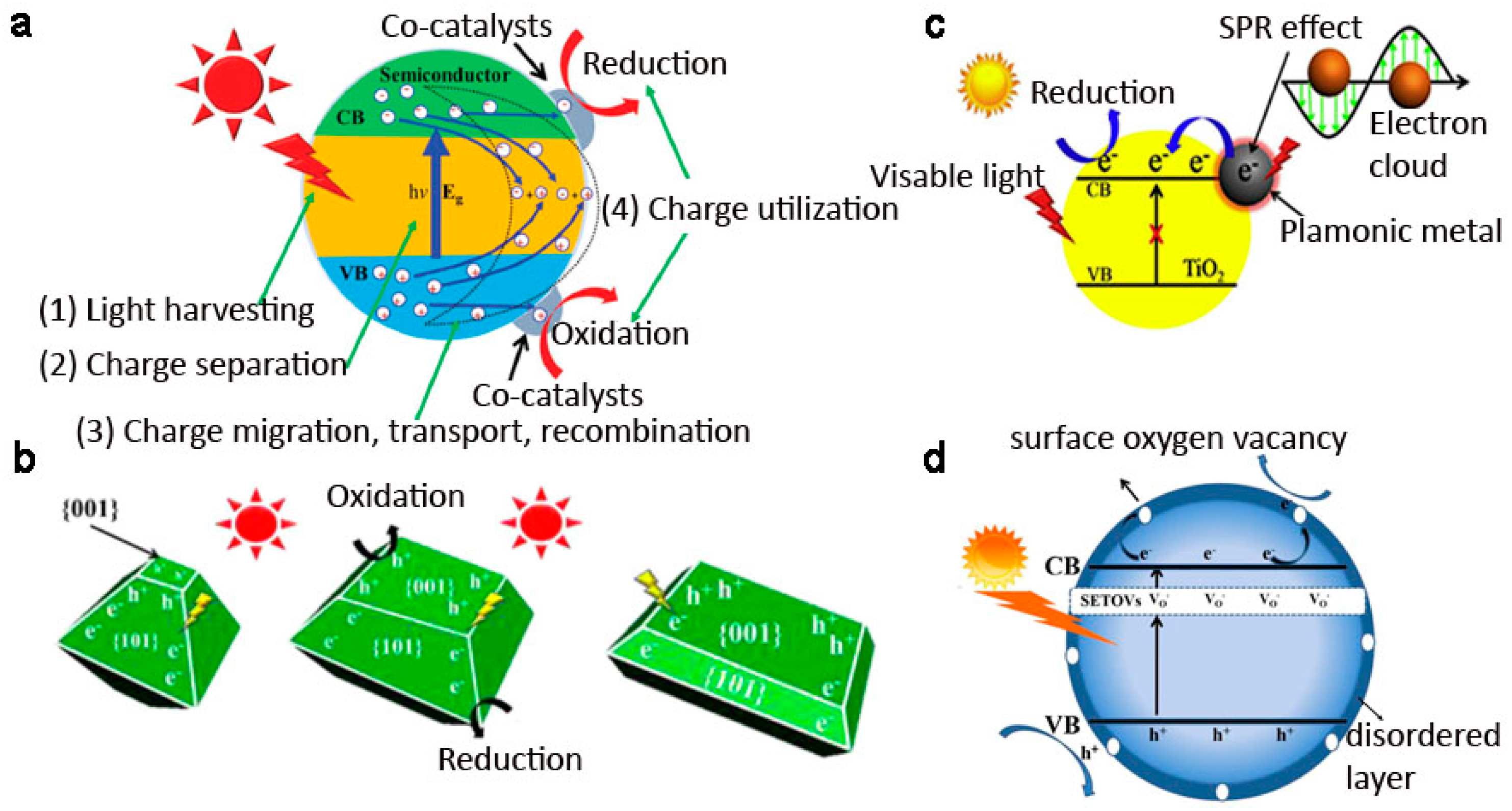 Nanomaterials 07 00382 g005