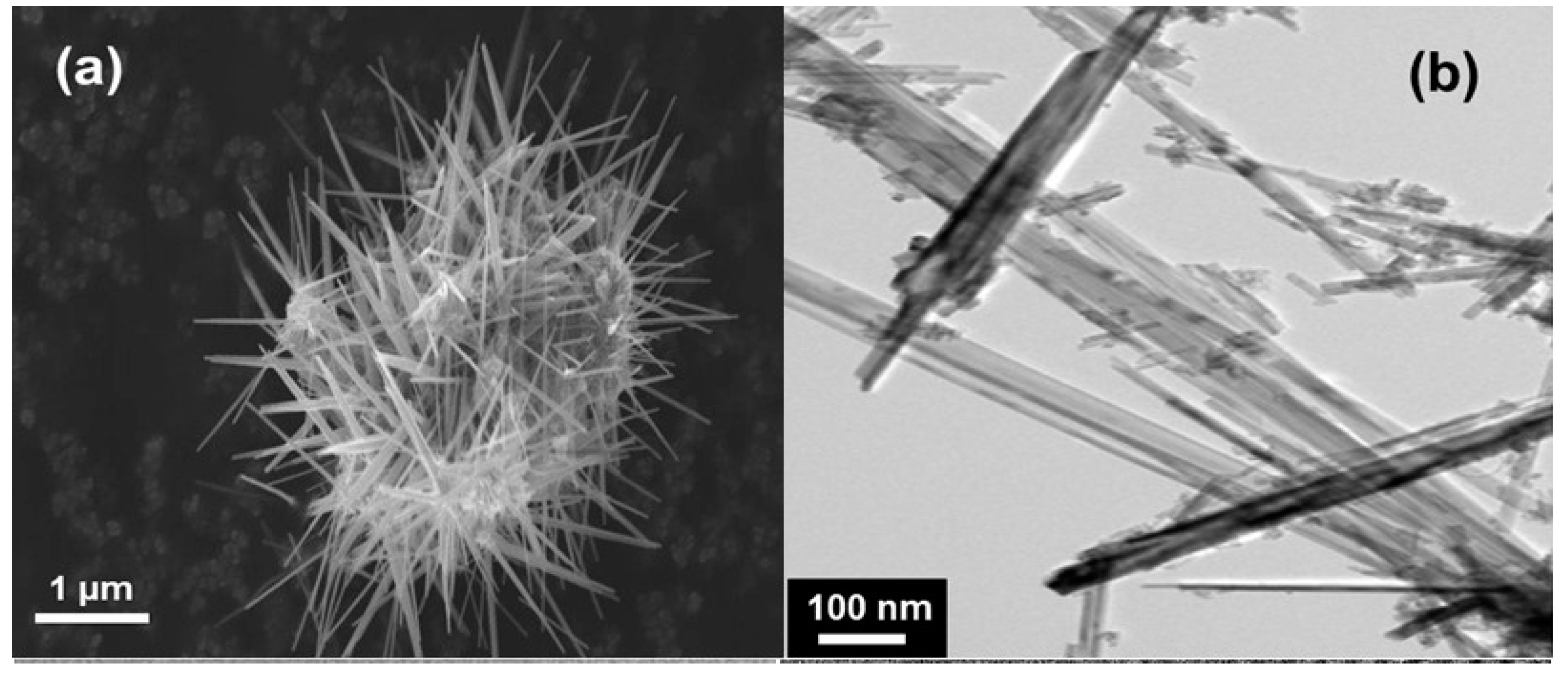 Nanomaterials 07 00396 g011