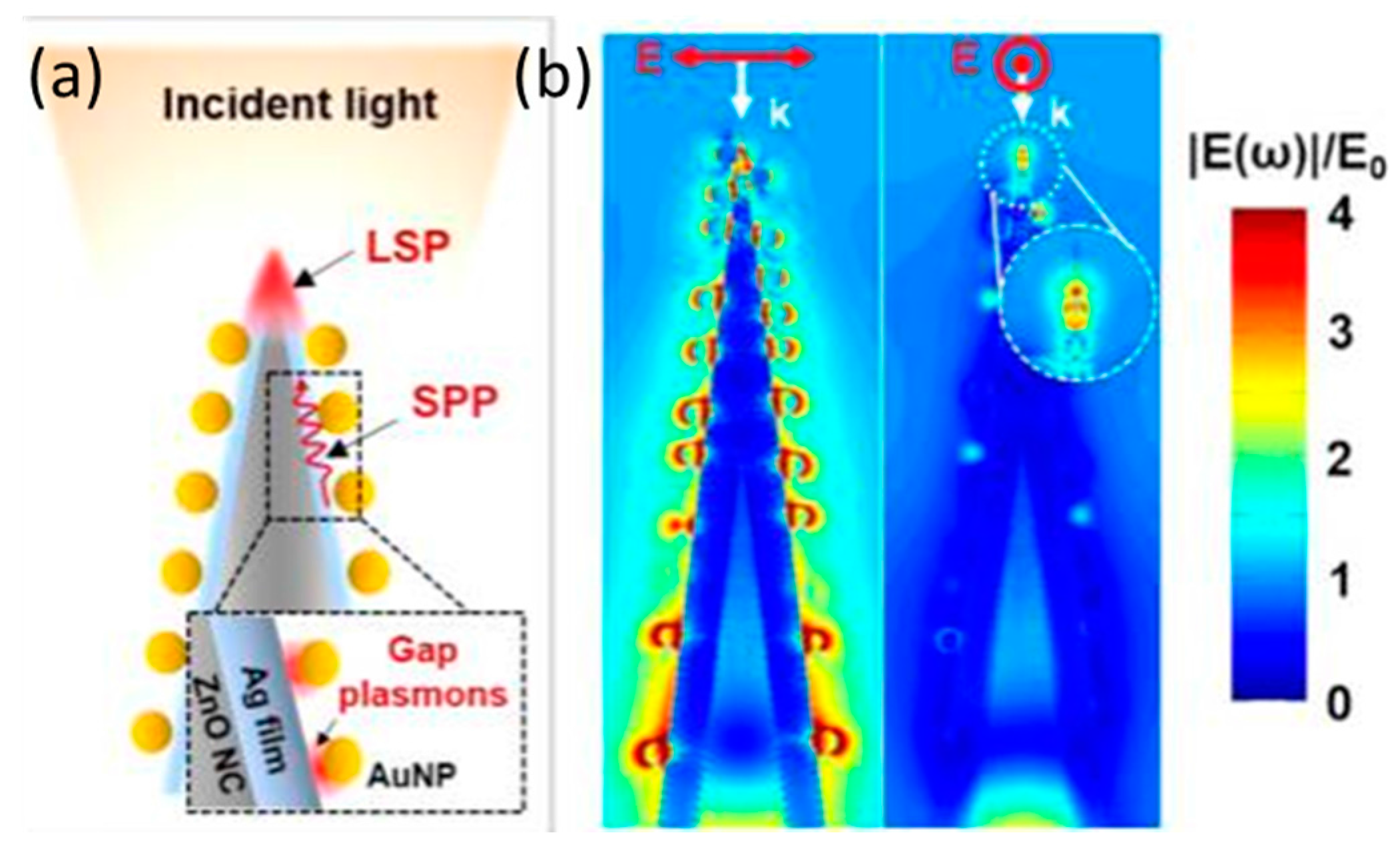 Nanomaterials 07 00398 g012