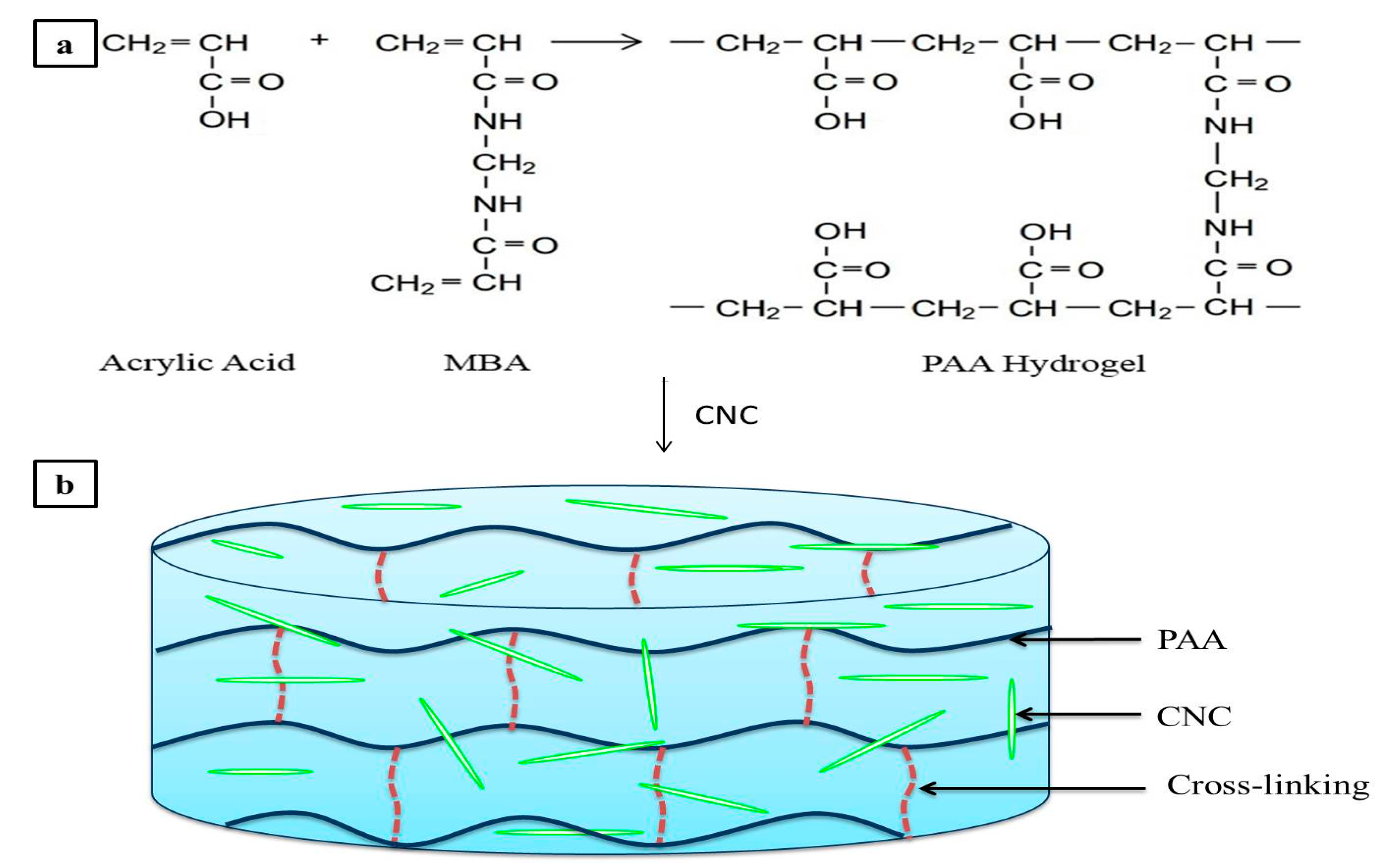 Nanomaterials 07 00399 g002
