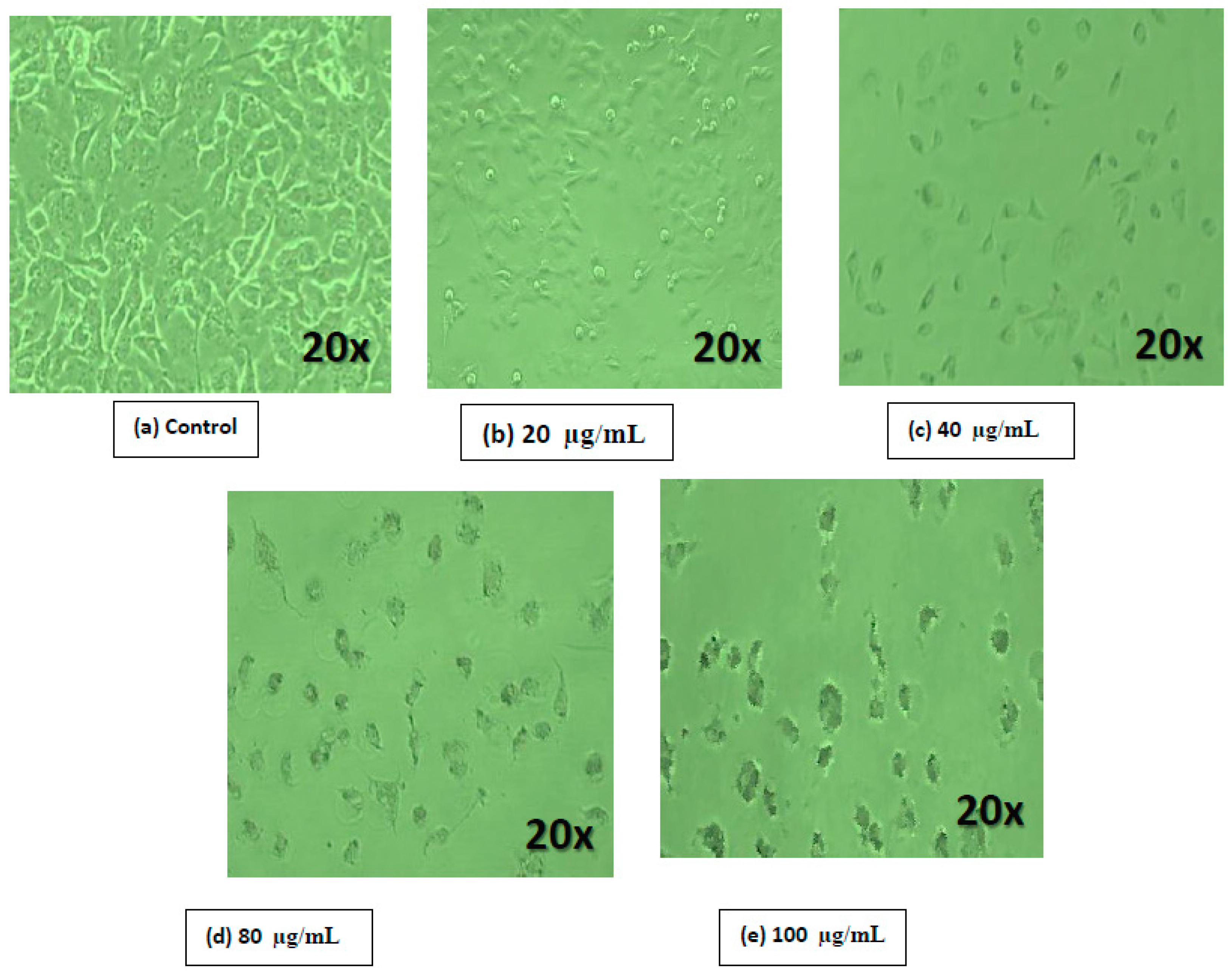 Nanomaterials 07 00401 g007 Nanomaterials 07 00401 g007