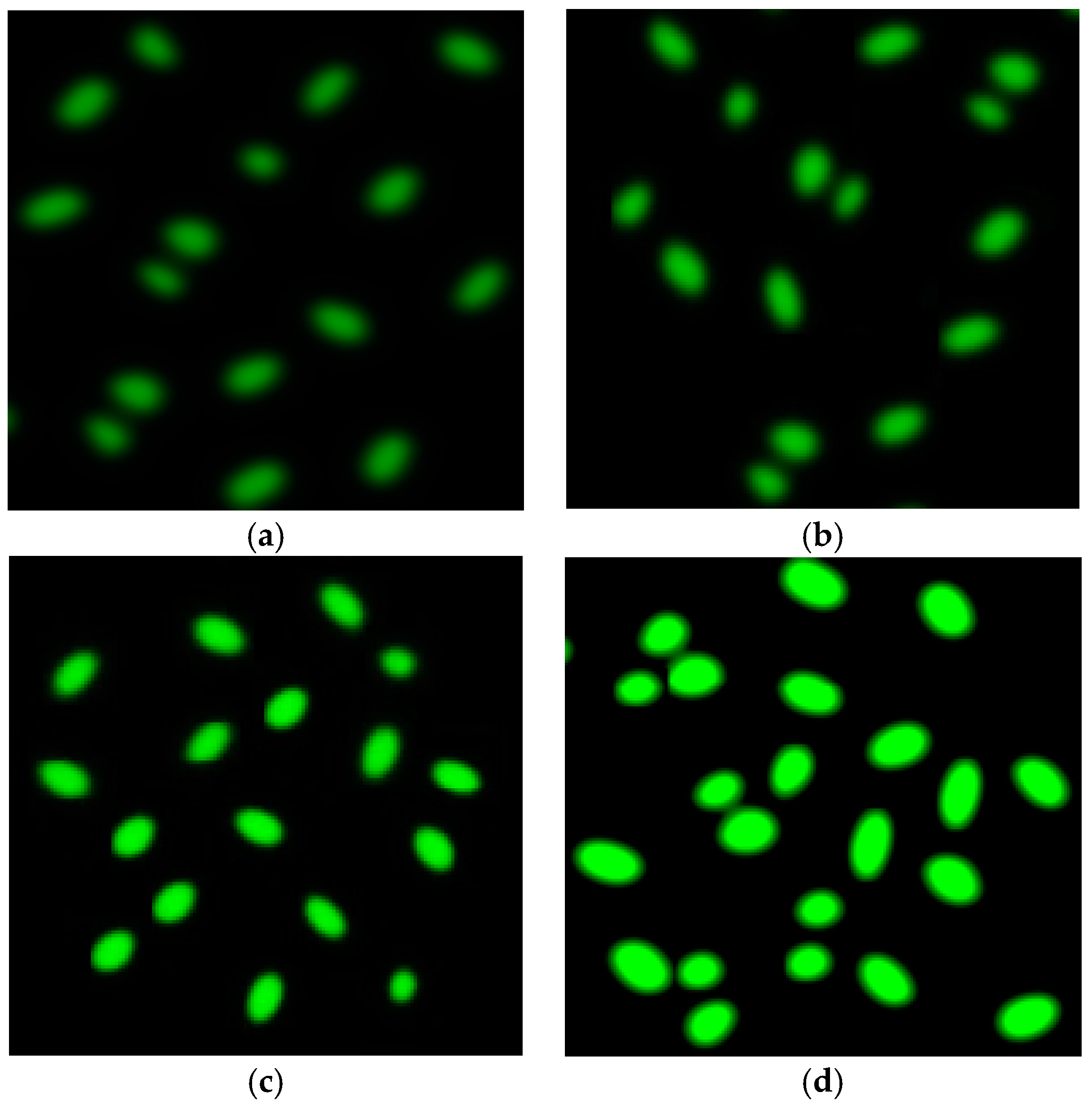 Nanomaterials 07 00401 g008 Nanomaterials 07 00401 g008