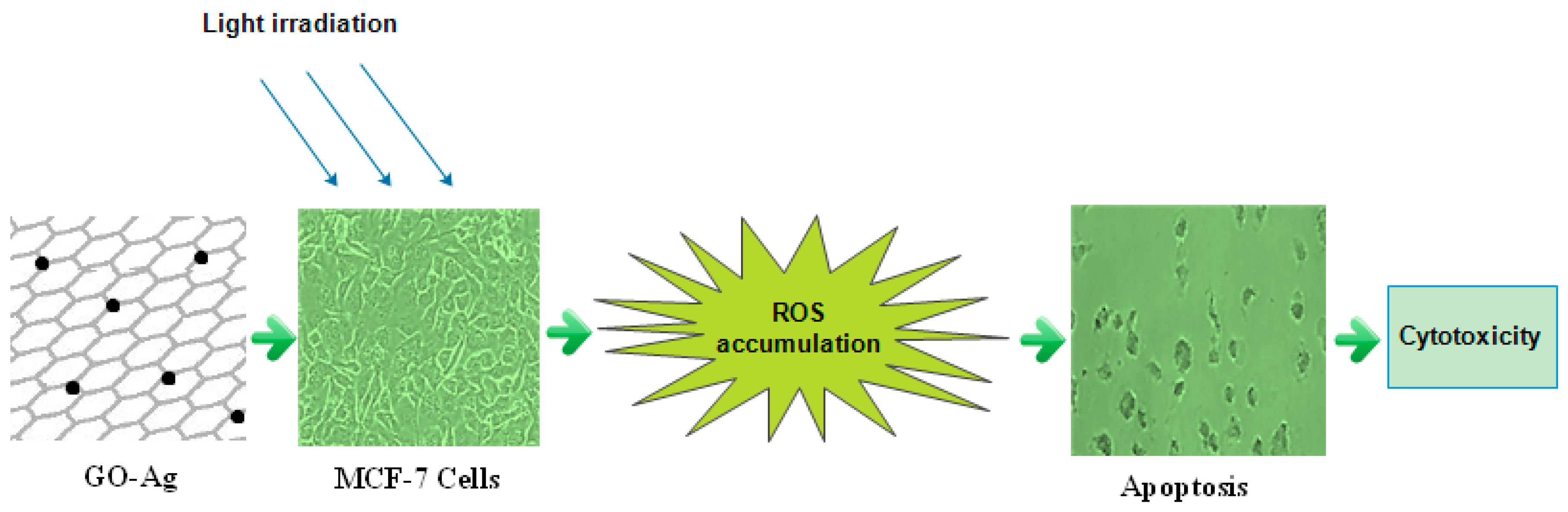Nanomaterials 07 00401 g013 Nanomaterials 07 00401 g013