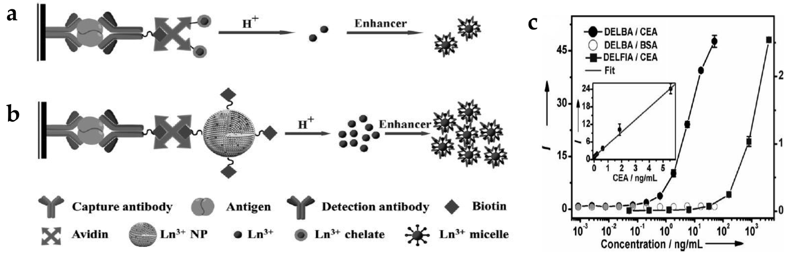 Nanomaterials 07 00411 g002