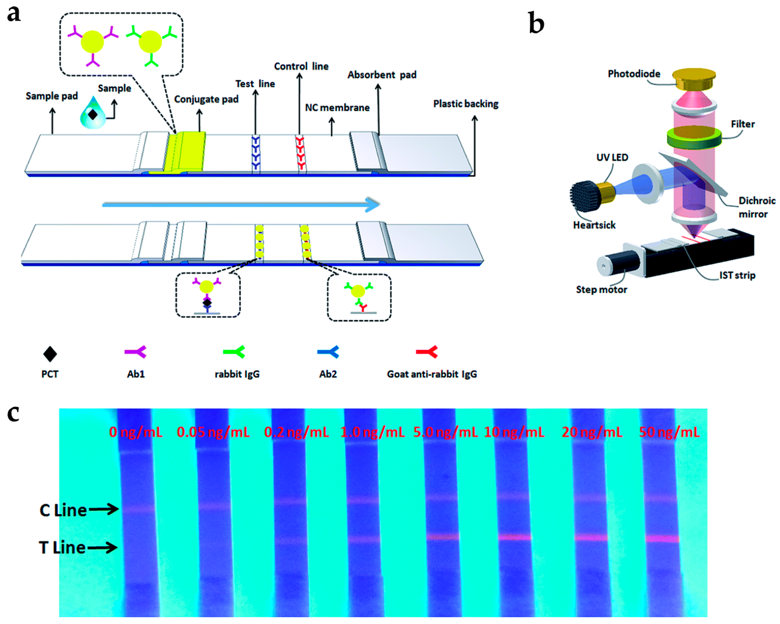 Nanomaterials 07 00411 g003