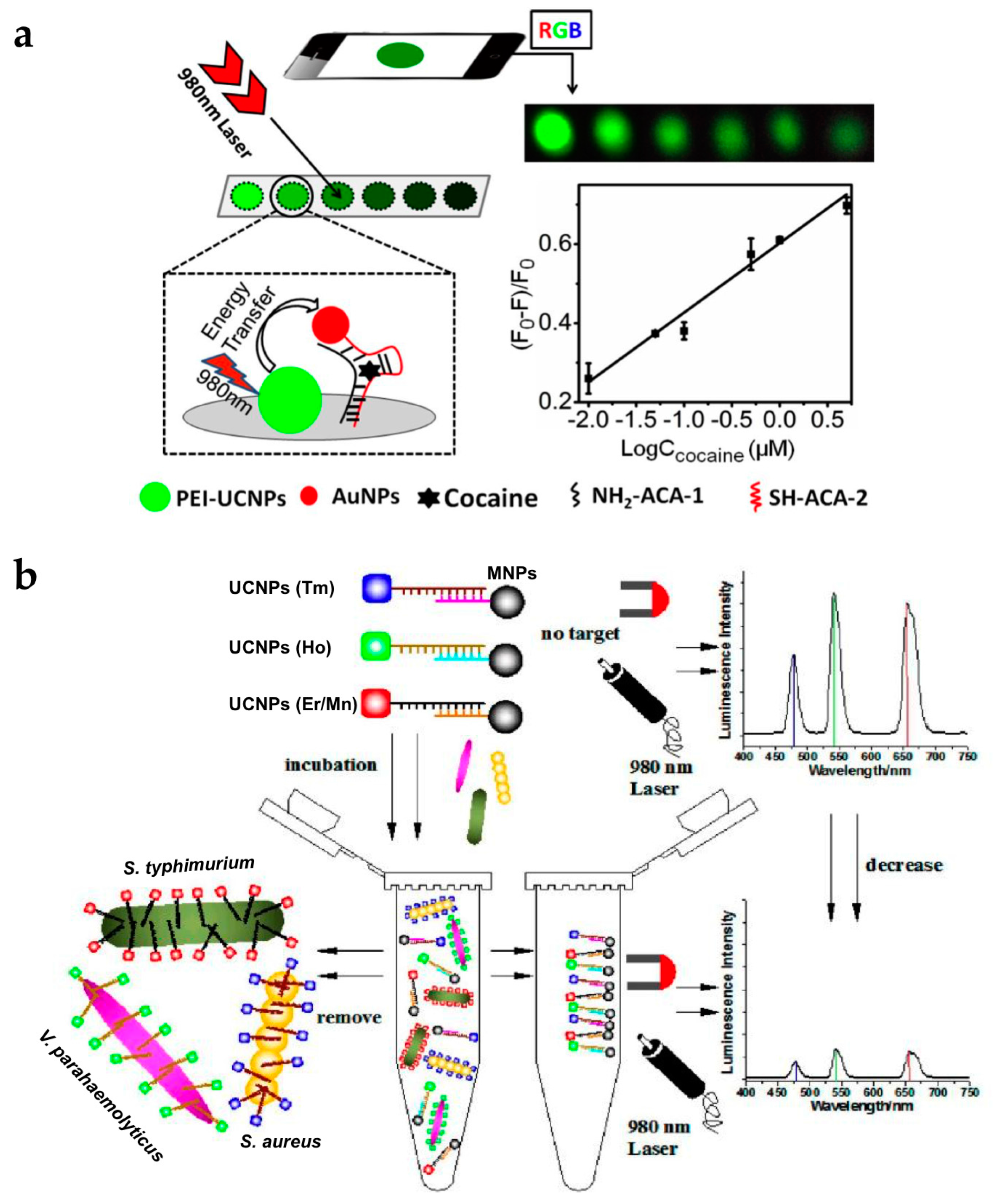 Nanomaterials 07 00411 g006