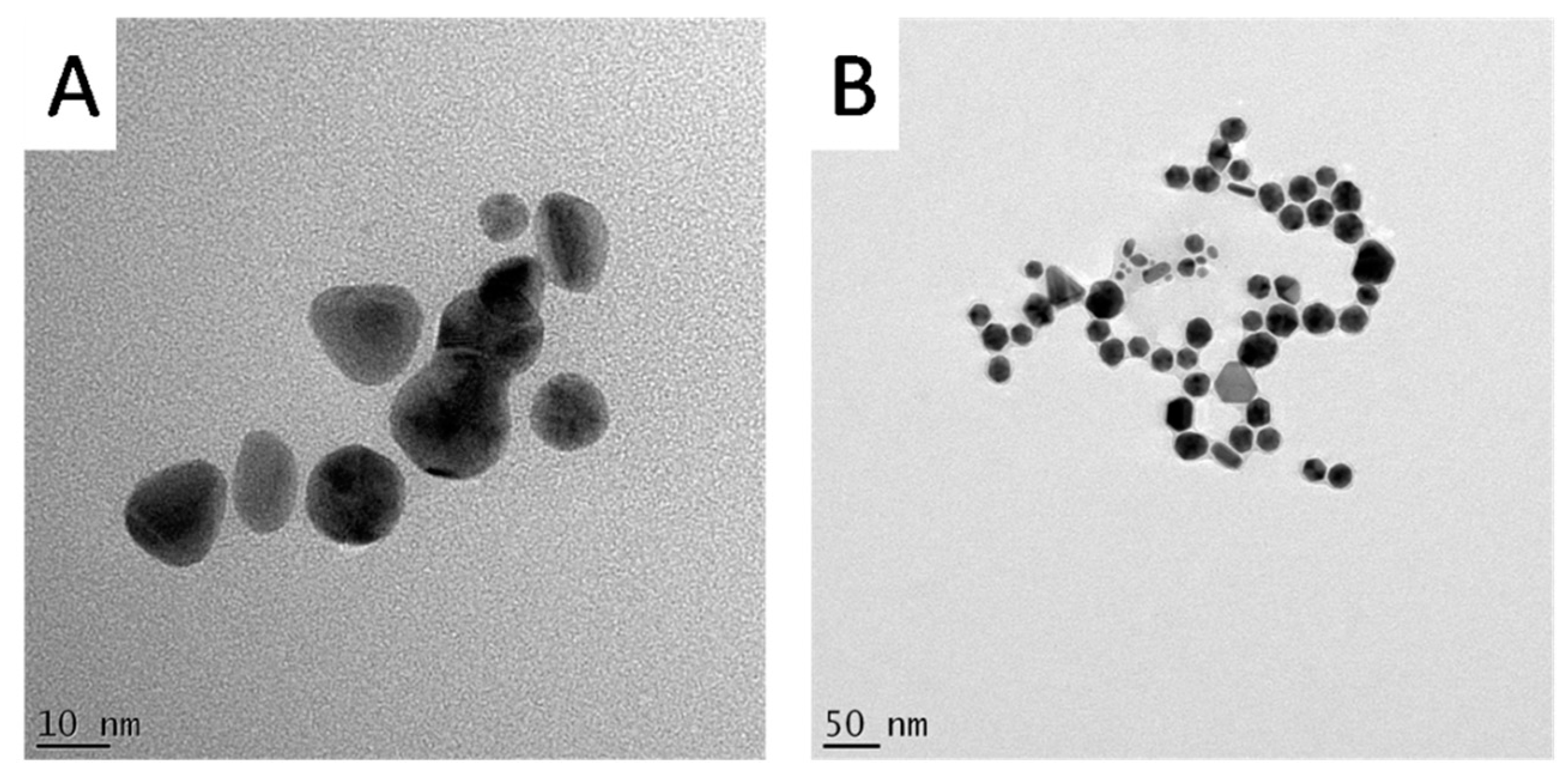 Nanomaterials 07 00417 g007