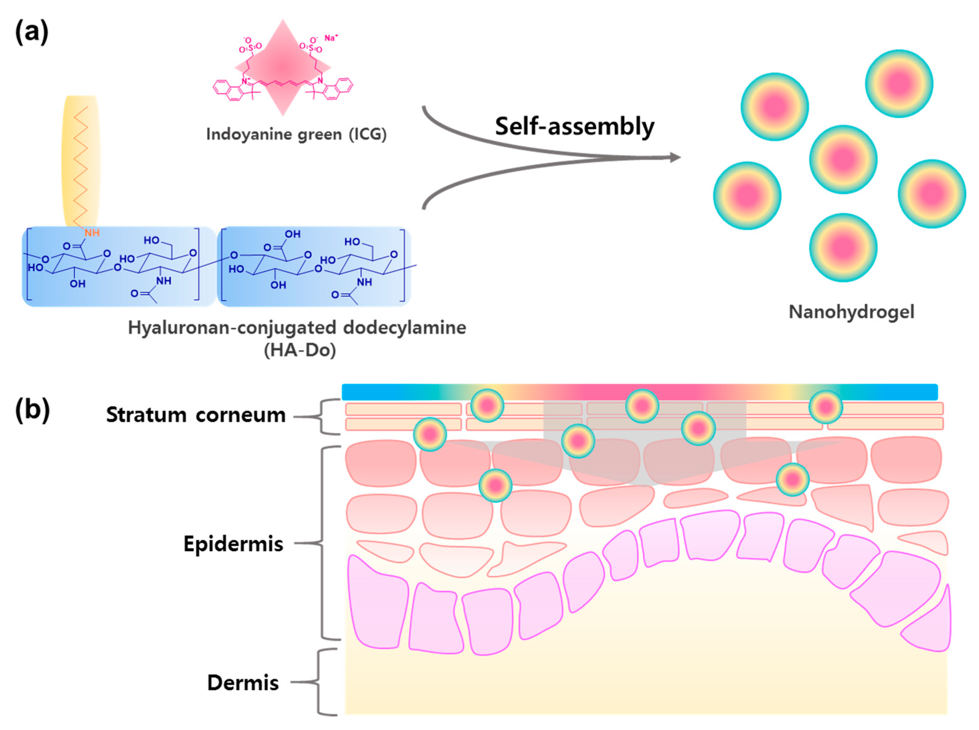 Nanomaterials 07 00427 g001